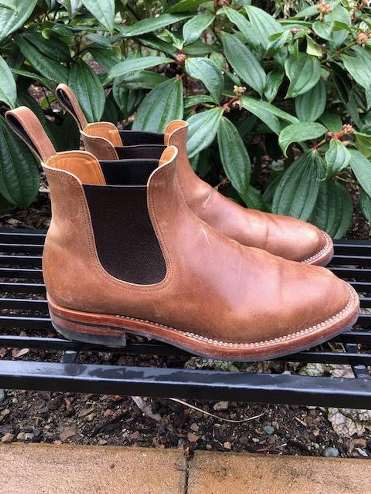 Photo by patinathunderdome on February 5, 2022 of the Benzein The Seventh Chelsea Boot in Maryam Toscanello Horsebutt.