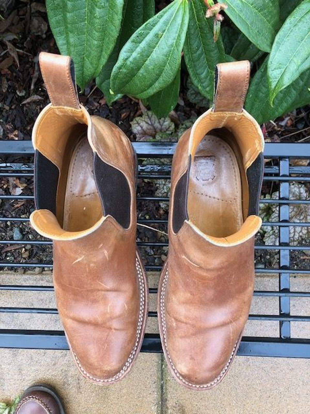 Photo by patinathunderdome on February 5, 2022 of the Benzein The Seventh Chelsea Boot in Maryam Toscanello Horsebutt.