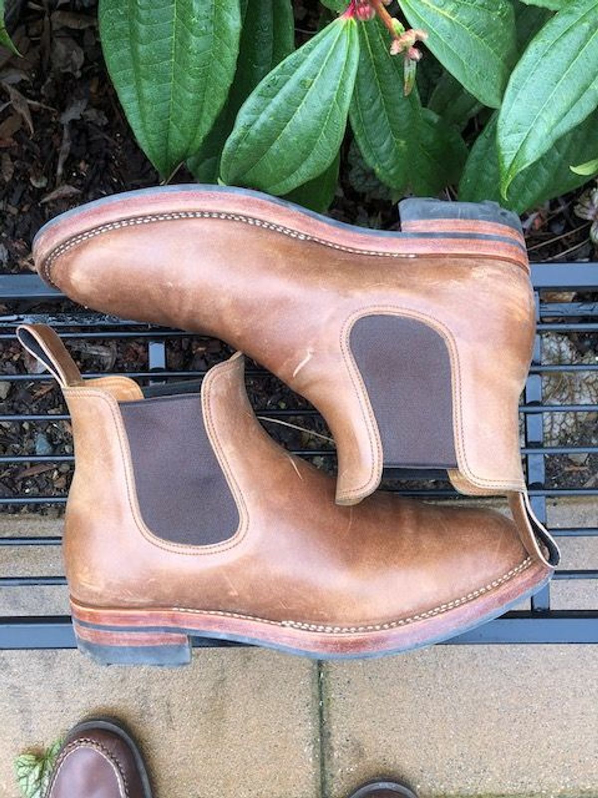 Photo by patinathunderdome on February 5, 2022 of the Benzein The Seventh Chelsea Boot in Maryam Toscanello Horsebutt.
