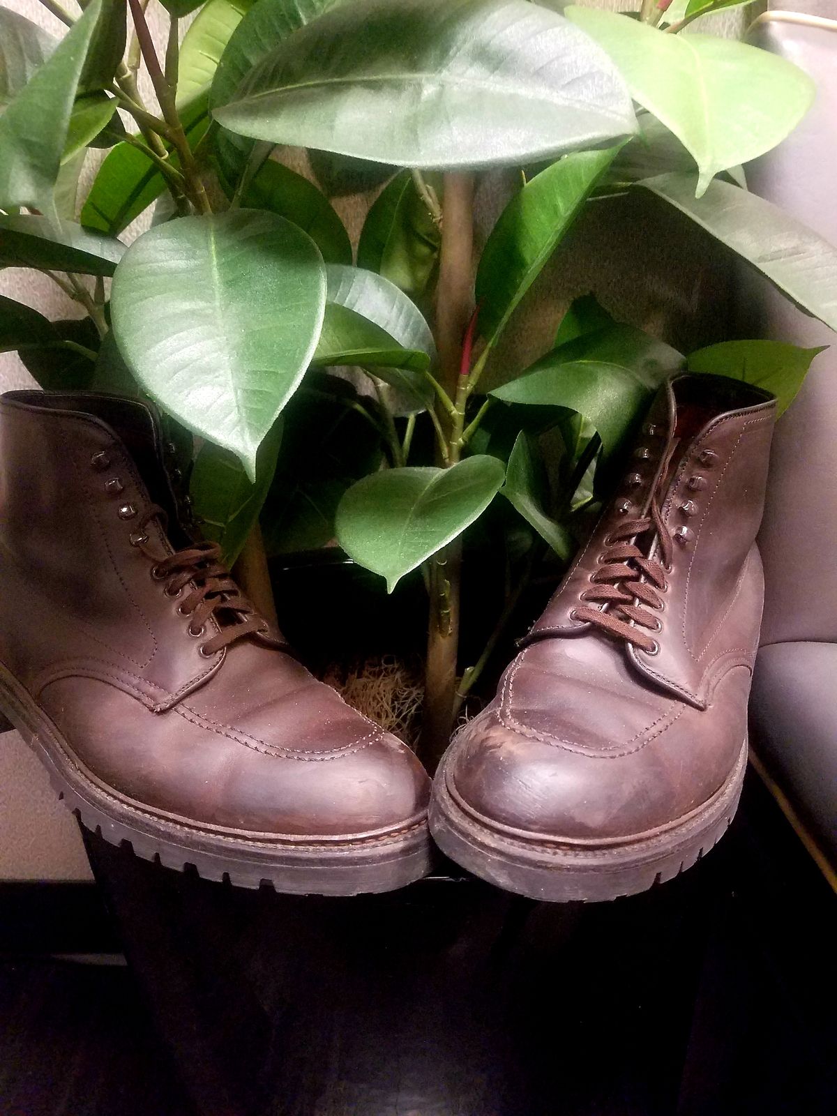 Photo by patinathunderdome on March 1, 2023 of the Alden Indy Boot in Horween Brown Chromexcel.