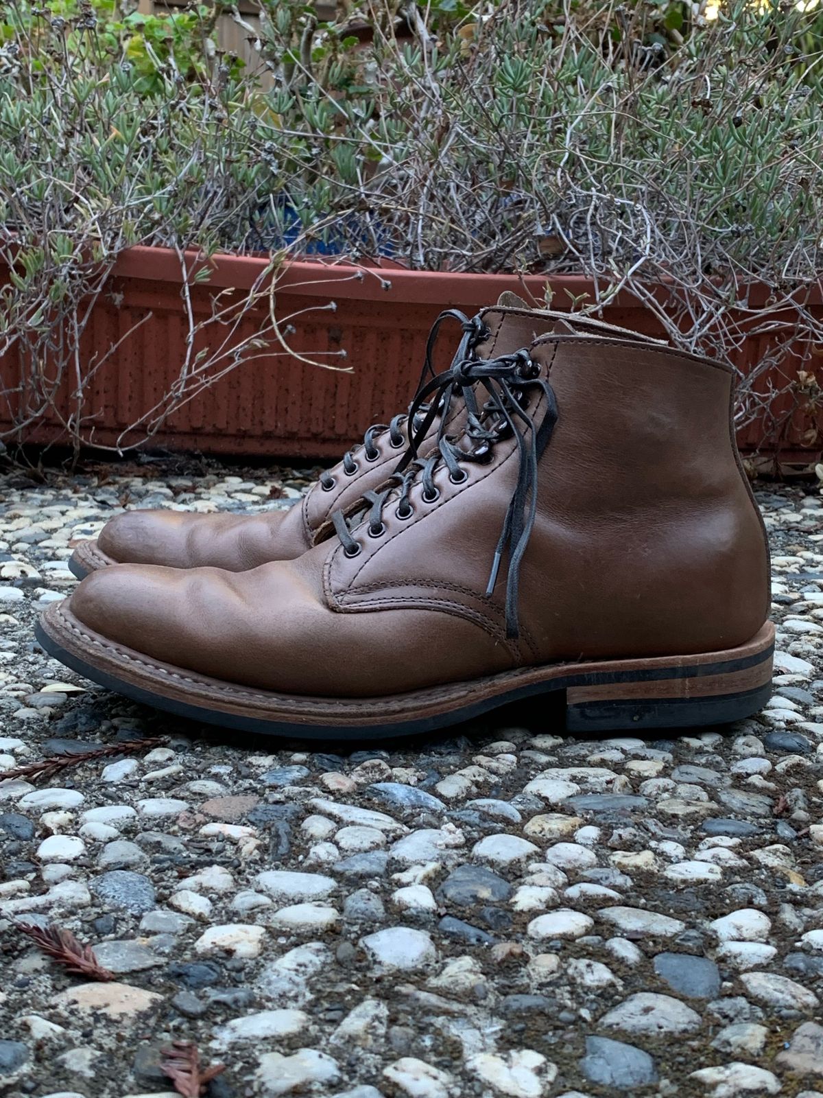 Photo by patinathunderdome on November 3, 2021 of the White's Stevens (Plain Toe) in Horween Natural Chromexcel.