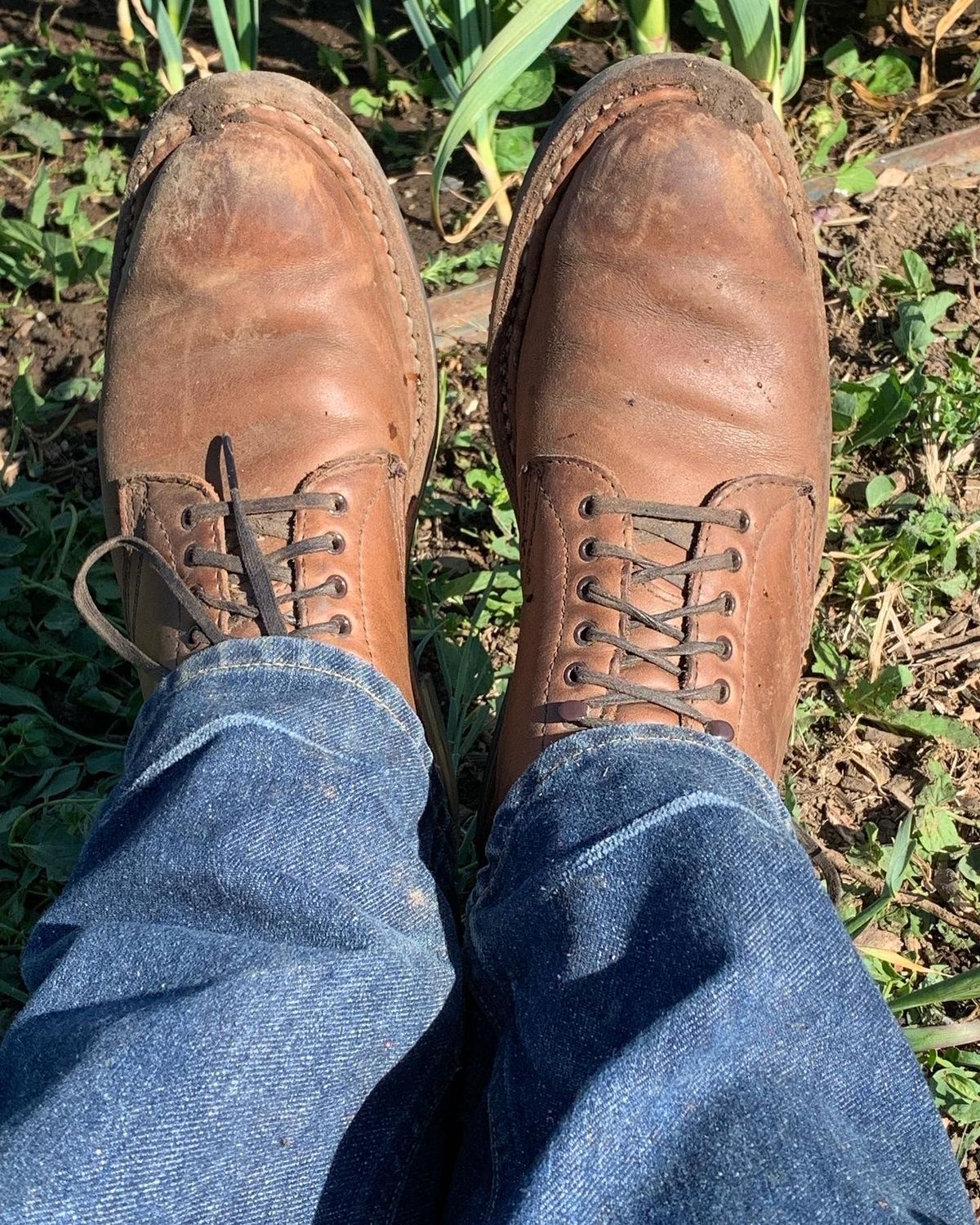 Photo by patinathunderdome on April 2, 2022 of the White's Stevens (Plain Toe) in Horween Natural Chromexcel.