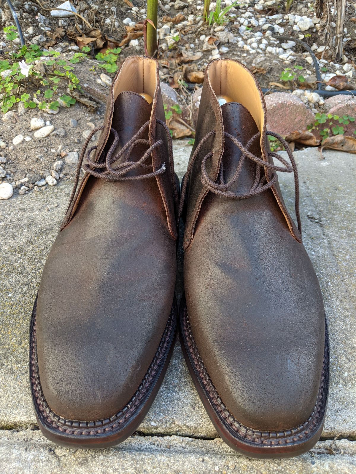 Photo by patinathunderdome on October 2, 2021 of the Crockett & Jones Molton in Dark Brown Roughout Suede.