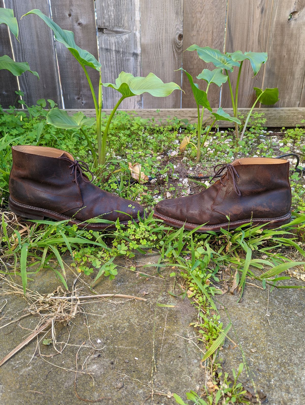 Photo by patinathunderdome on February 6, 2022 of the Crockett & Jones Molton in Dark Brown Roughout Suede.