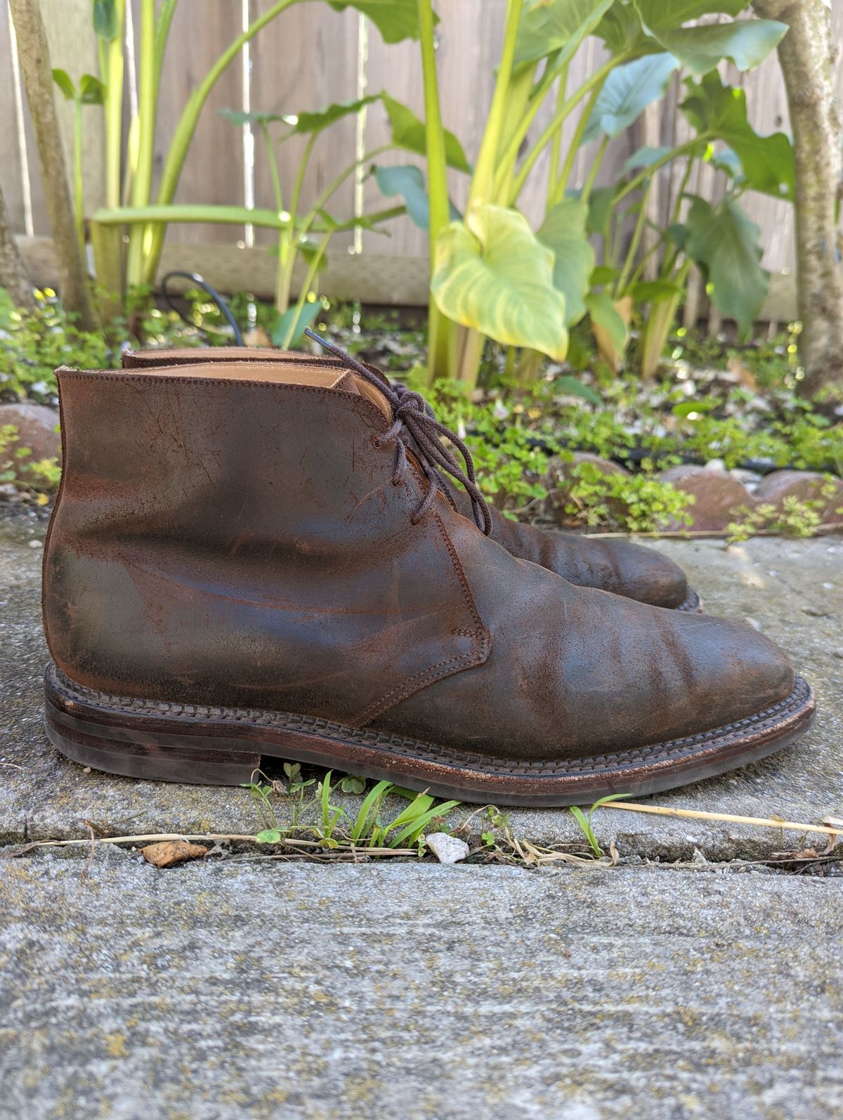 Photo by patinathunderdome on March 6, 2022 of the Crockett & Jones Molton in Dark Brown Roughout Suede.