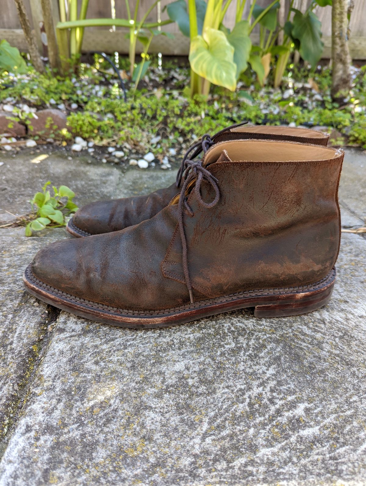 Photo by patinathunderdome on March 6, 2022 of the Crockett & Jones Molton in Dark Brown Roughout Suede.