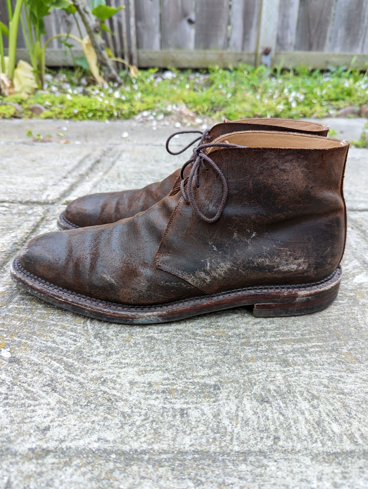 Photo by patinathunderdome on May 6, 2022 of the Crockett & Jones Molton in Dark Brown Roughout Suede.