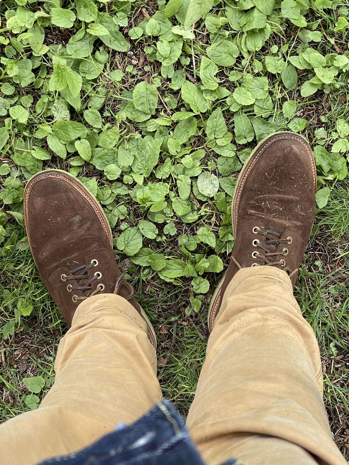 Photo by patinathunderdome on May 5, 2022 of the Grant Stone Diesel Boot in C.F. Stead Coffee Repello Calf Suede.