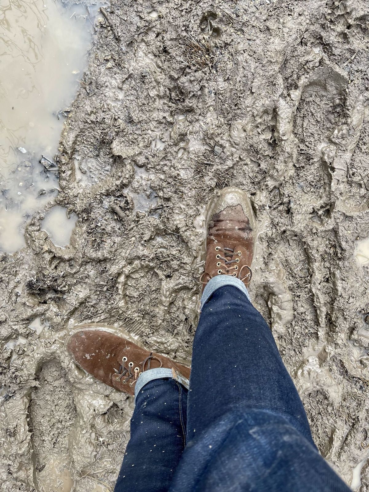 Photo by patinathunderdome on May 5, 2022 of the Grant Stone Diesel Boot in C.F. Stead Coffee Repello Calf Suede.