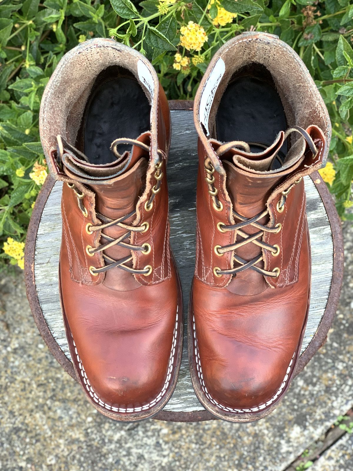 Photo by patinathunderdome on December 2, 2021 of the Nicks Prospector in Wickett & Craig Tan Oiled Latigo.