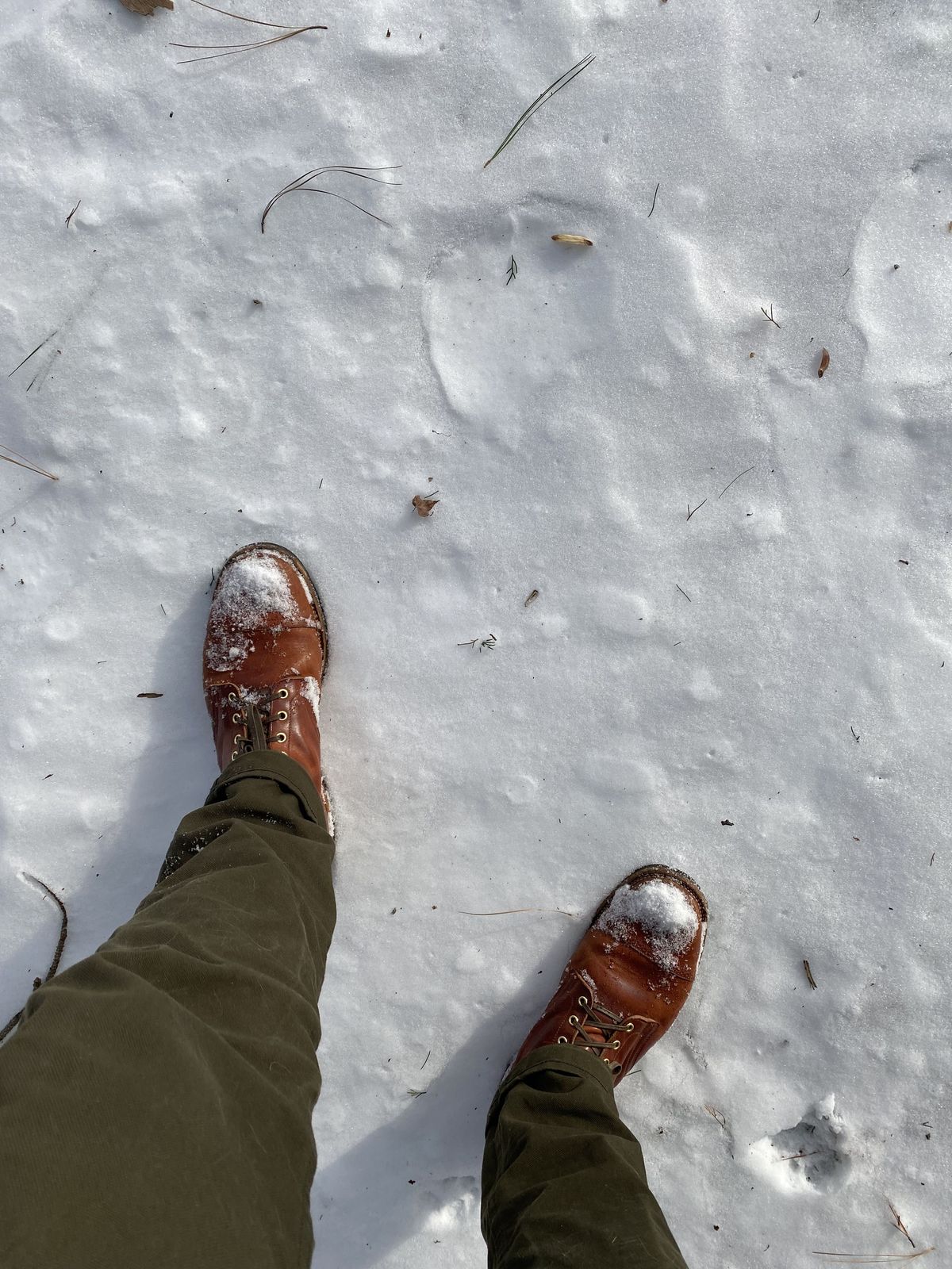 Photo by patinathunderdome on February 1, 2022 of the Viberg Service Boot in Horween Spice Dublin.