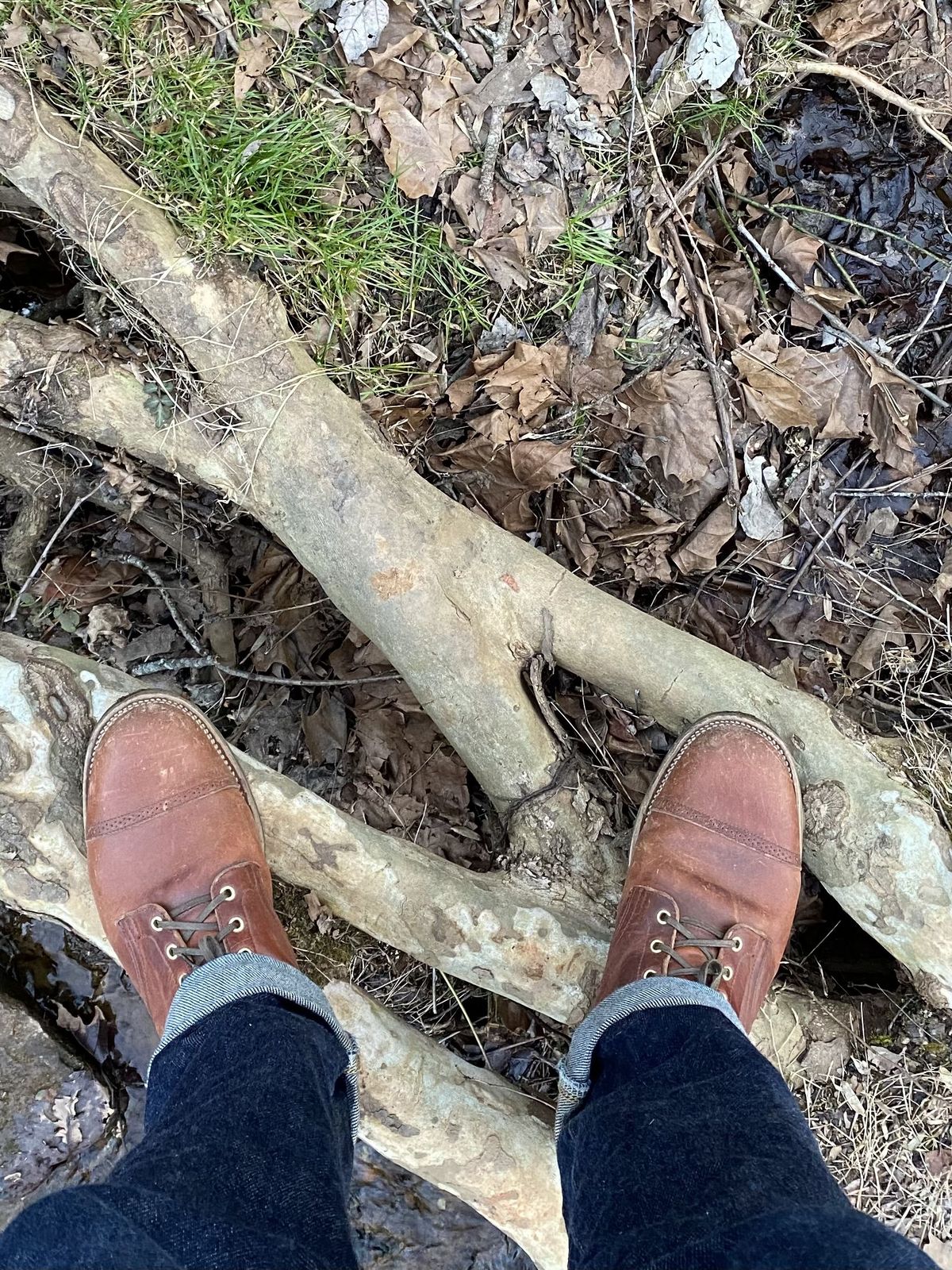 Photo by patinathunderdome on March 1, 2022 of the Viberg Service Boot in Horween Spice Dublin.