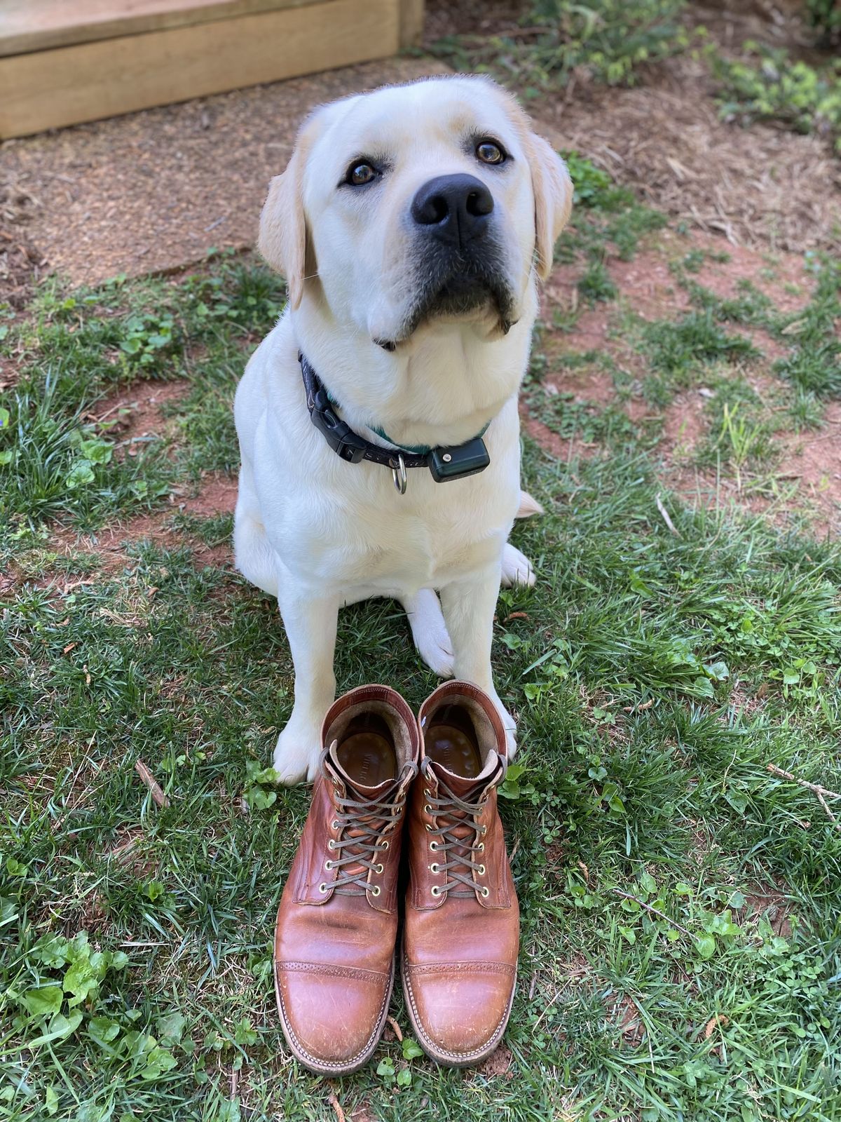 Photo by patinathunderdome on May 2, 2022 of the Viberg Service Boot in Horween Spice Dublin.