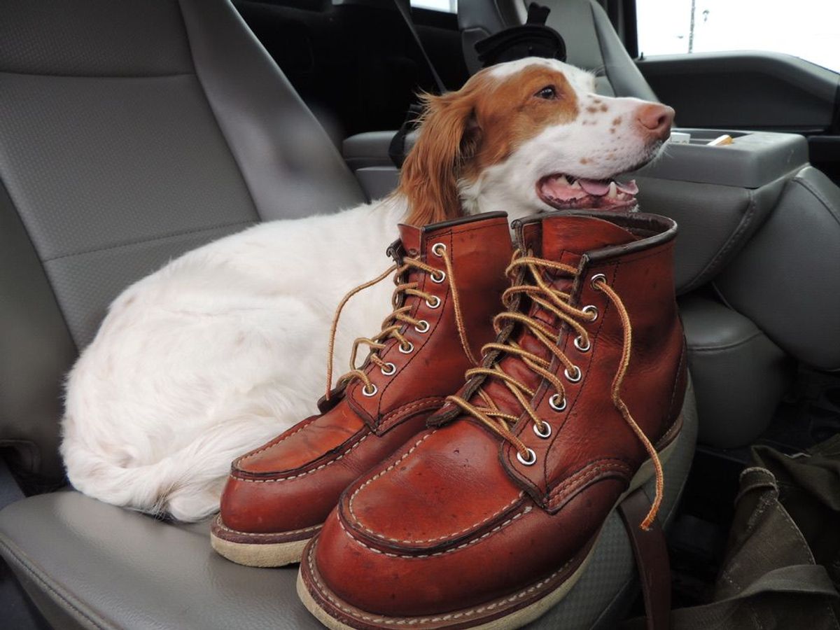 Photo by patinathunderdome on April 1, 2022 of the Red Wing 6-Inch Classic Moc in S.B. Foot Oro Legacy.