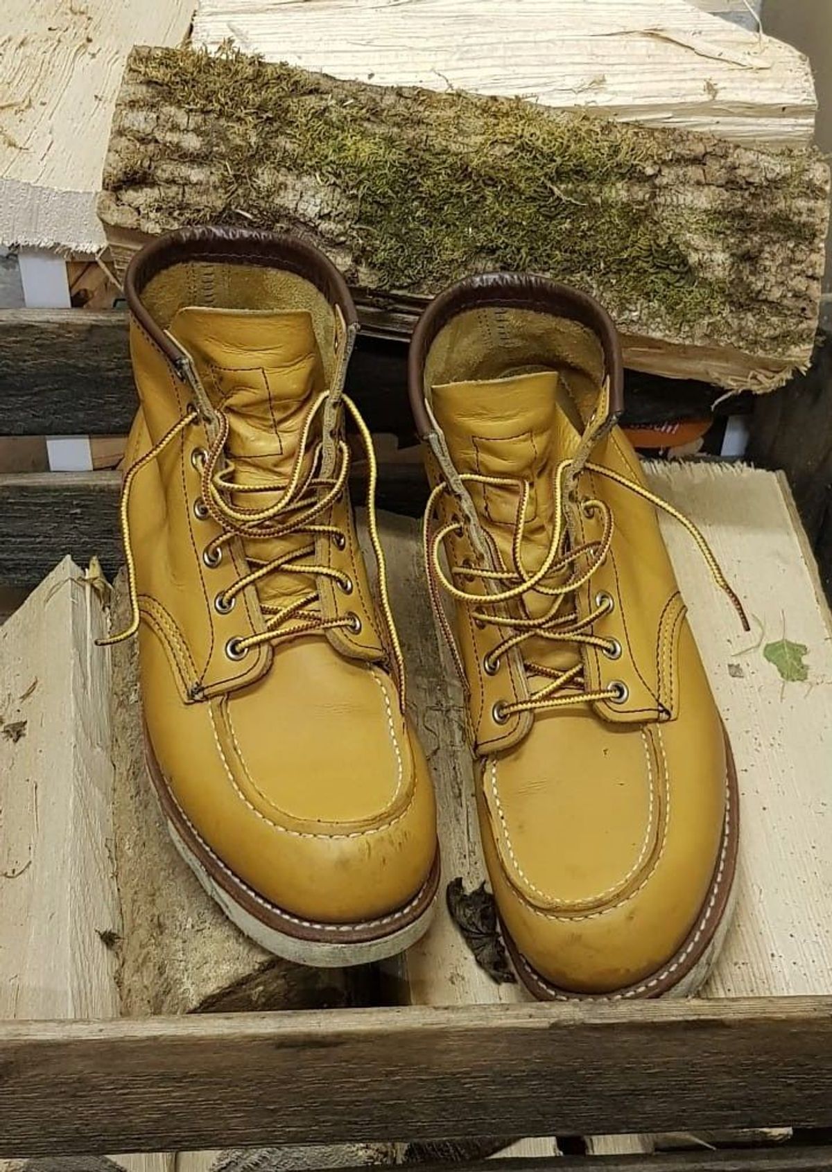 Photo by patinathunderdome on November 2, 2021 of the Red Wing 6-Inch Classic Moc in S.B. Foot Maize Mustang.