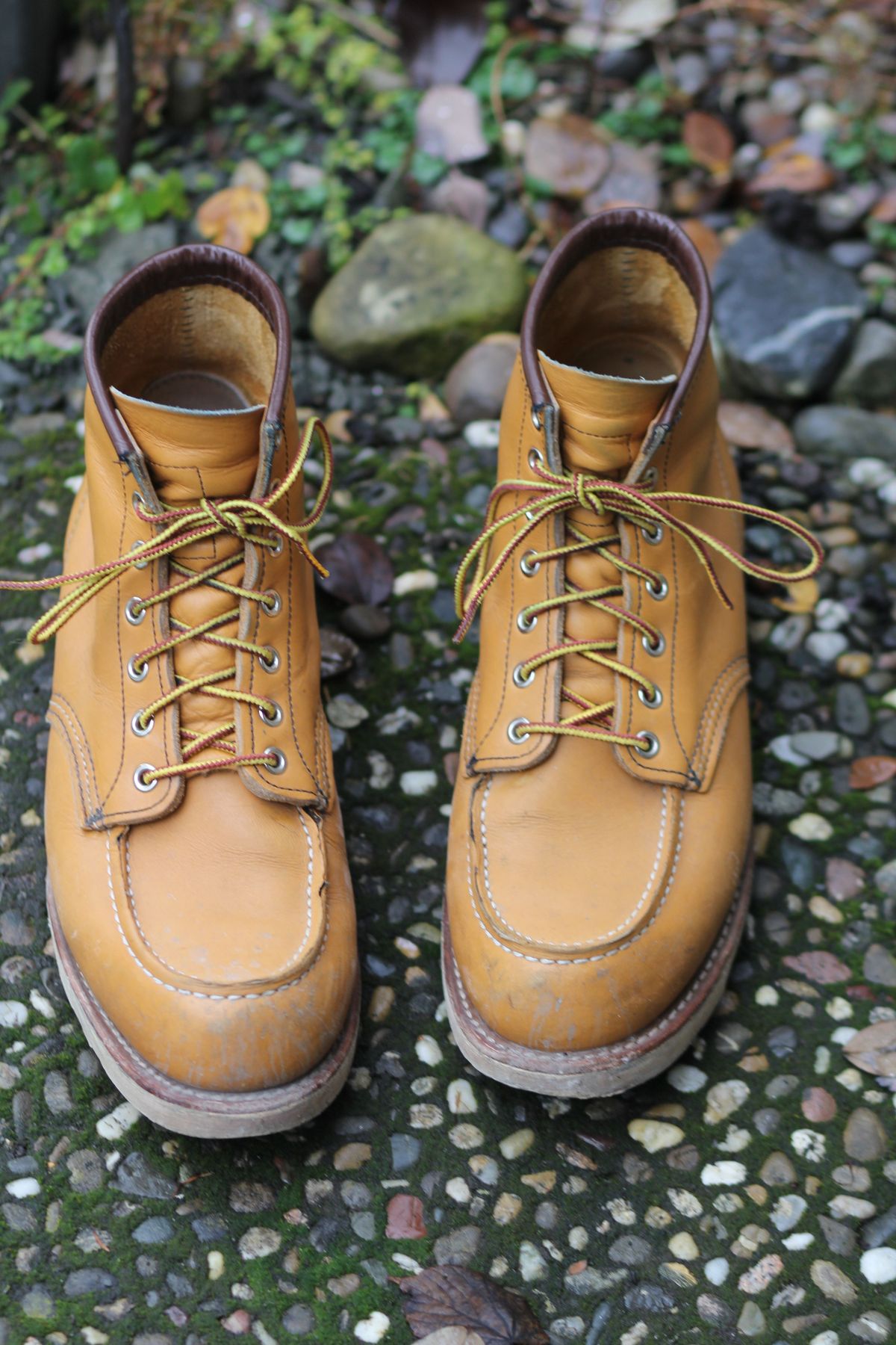 Photo by patinathunderdome on December 4, 2021 of the Red Wing 6-Inch Classic Moc in S.B. Foot Maize Mustang.