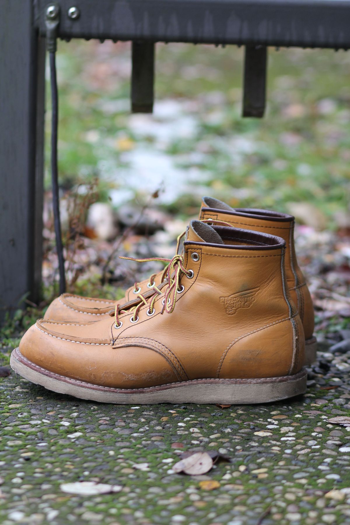 Photo by patinathunderdome on December 4, 2021 of the Red Wing 6-Inch Classic Moc in S.B. Foot Maize Mustang.
