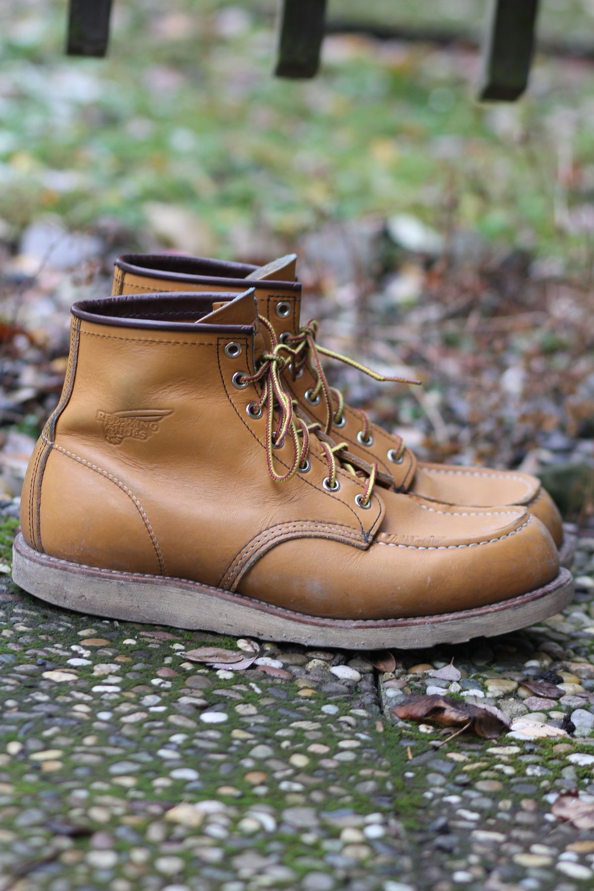 Photo by patinathunderdome on December 4, 2021 of the Red Wing 6-Inch Classic Moc in S.B. Foot Maize Mustang.