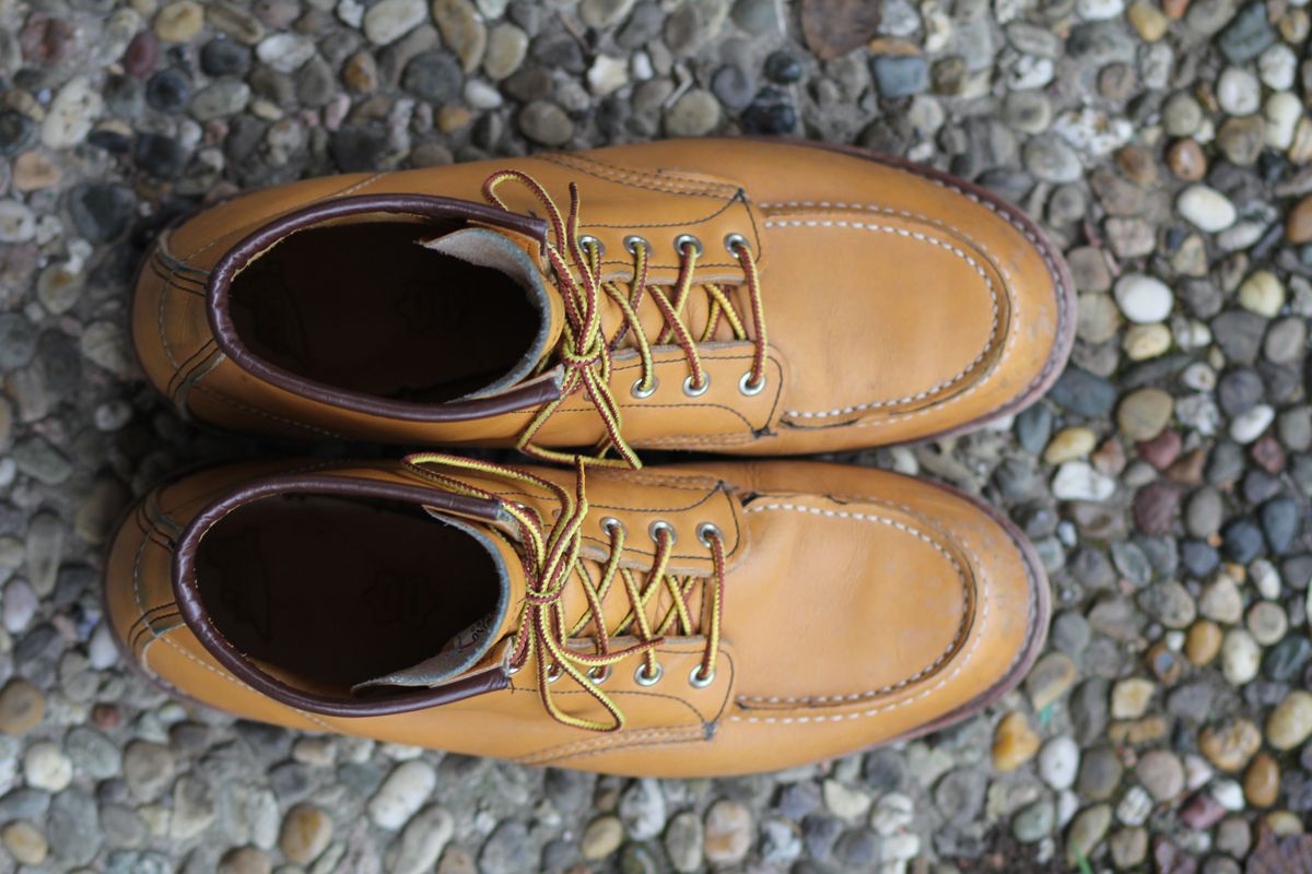 Photo by patinathunderdome on December 4, 2021 of the Red Wing 6-Inch Classic Moc in S.B. Foot Maize Mustang.
