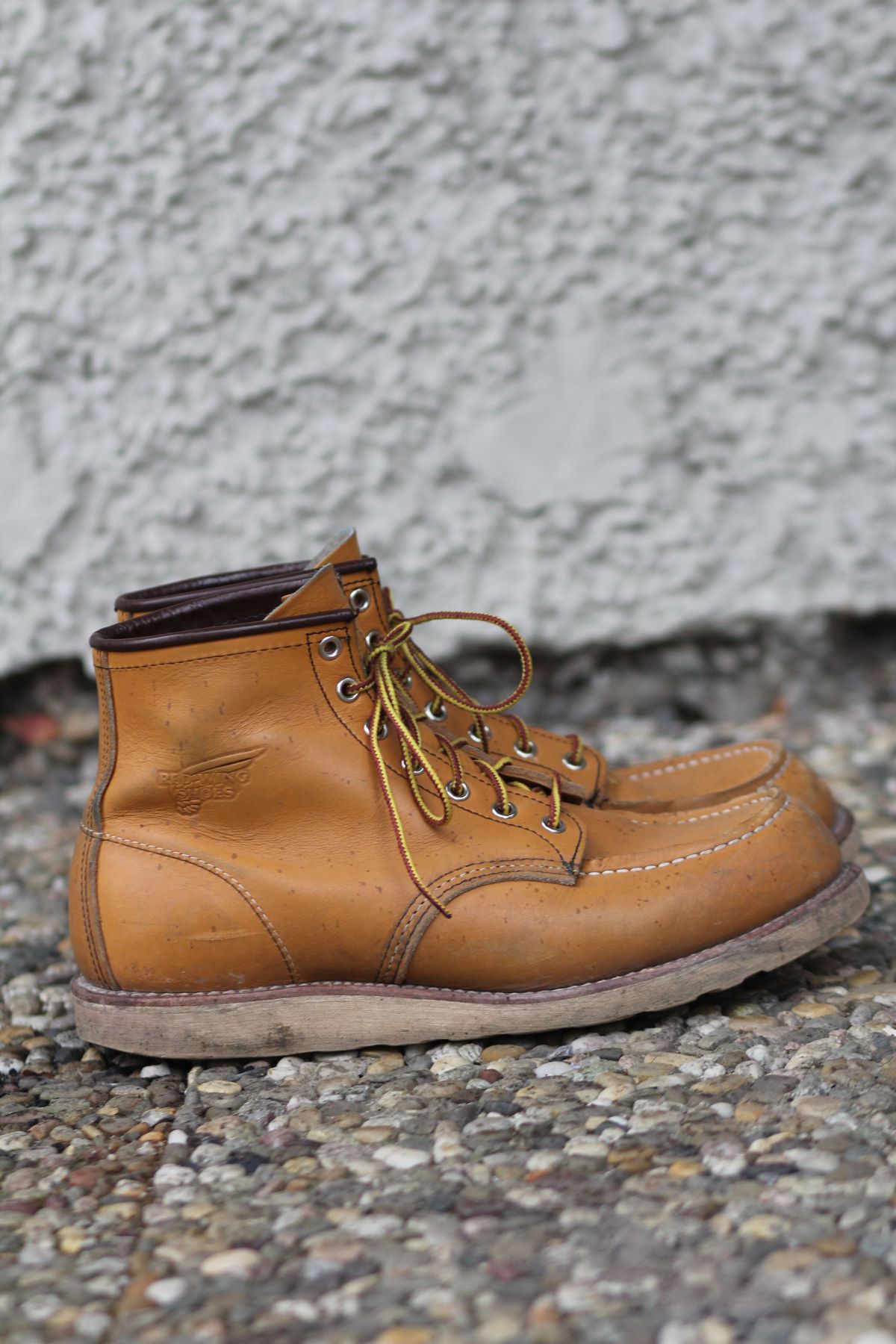 Photo by patinathunderdome on January 4, 2022 of the Red Wing 6-Inch Classic Moc in S.B. Foot Maize Mustang.
