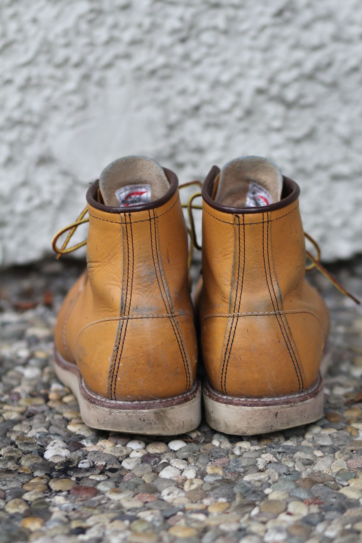Photo by patinathunderdome on January 4, 2022 of the Red Wing 6-Inch Classic Moc in S.B. Foot Maize Mustang.