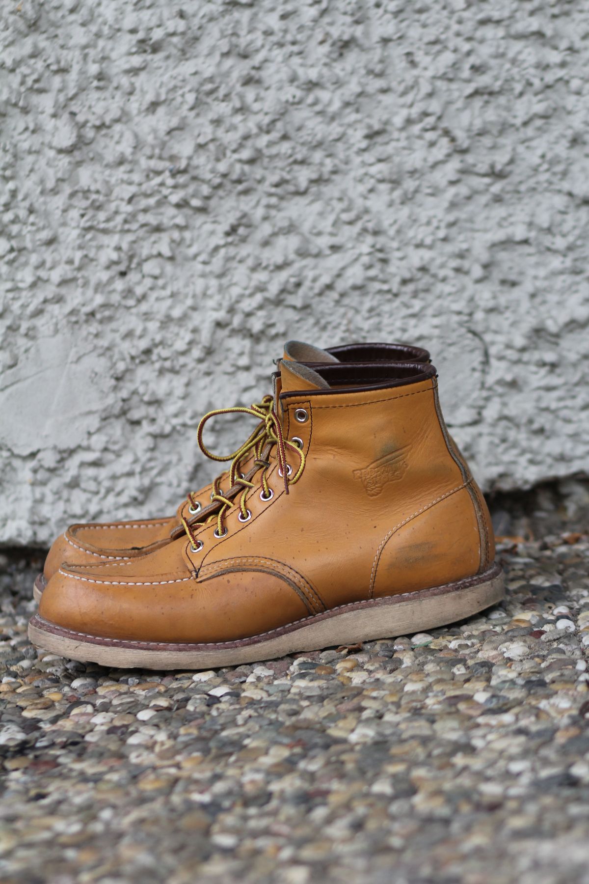 Photo by patinathunderdome on January 4, 2022 of the Red Wing 6-Inch Classic Moc in S.B. Foot Maize Mustang.