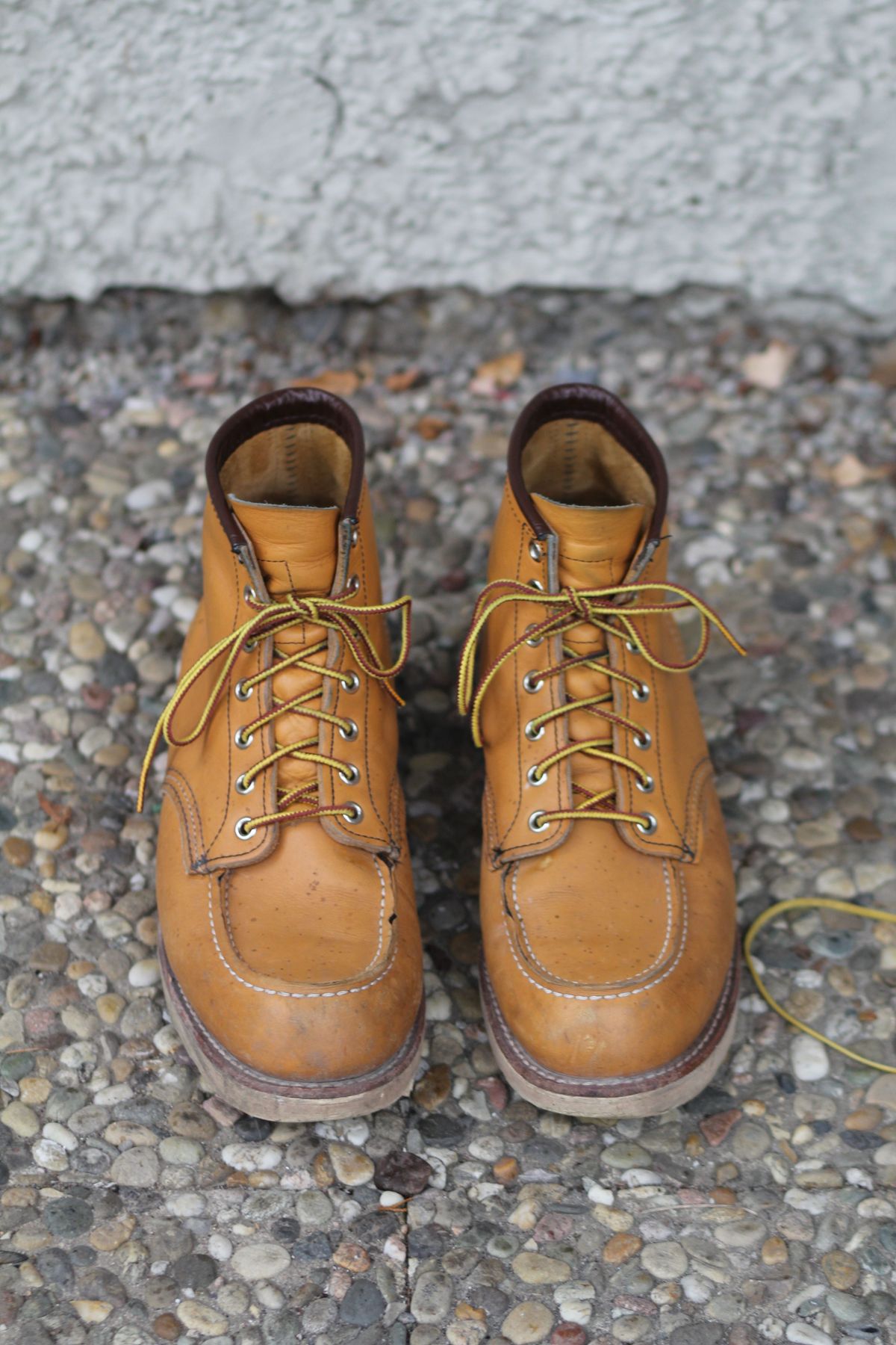 Photo by patinathunderdome on January 4, 2022 of the Red Wing 6-Inch Classic Moc in S.B. Foot Maize Mustang.