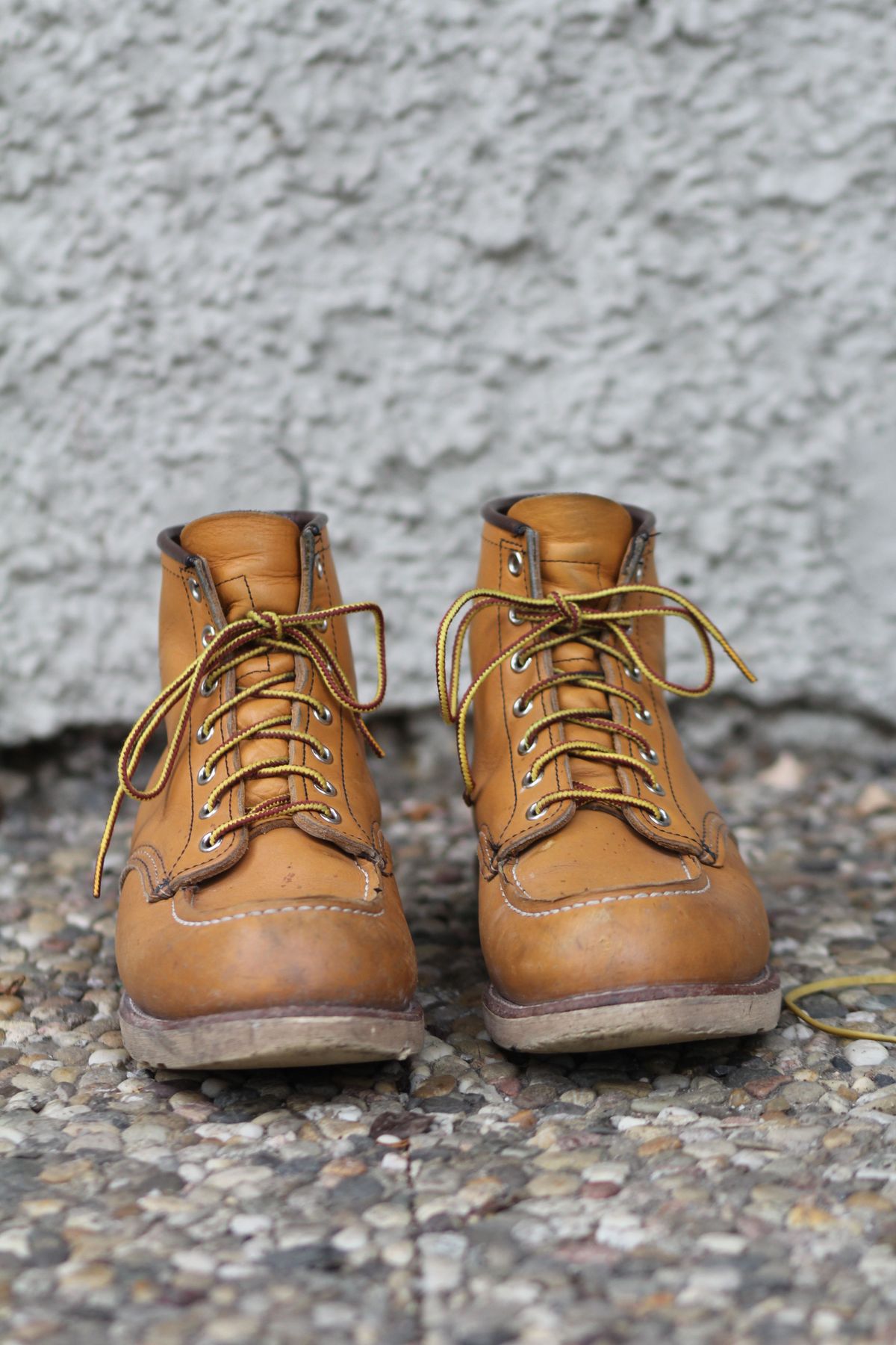 Photo by patinathunderdome on January 4, 2022 of the Red Wing 6-Inch Classic Moc in S.B. Foot Maize Mustang.