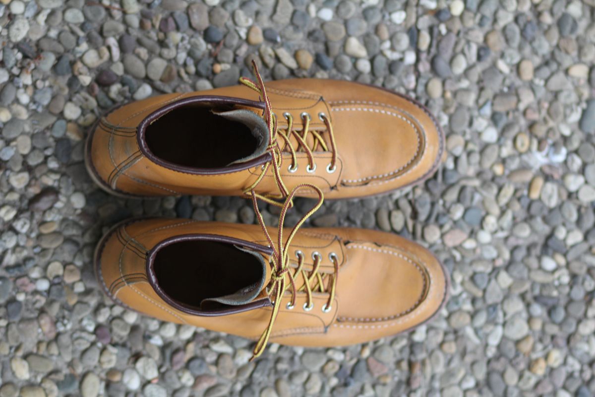 Photo by patinathunderdome on January 4, 2022 of the Red Wing 6-Inch Classic Moc in S.B. Foot Maize Mustang.