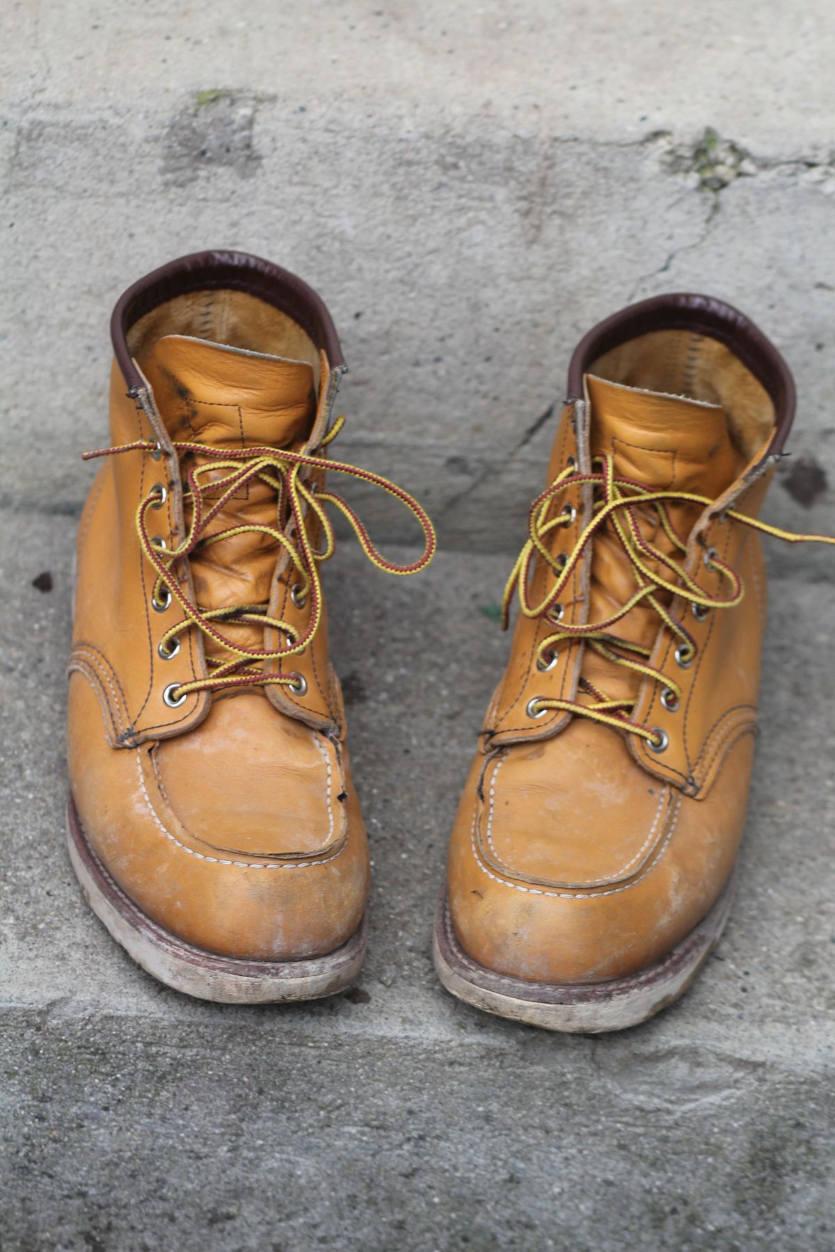 Photo by patinathunderdome on February 5, 2022 of the Red Wing 6-Inch Classic Moc in S.B. Foot Maize Mustang.