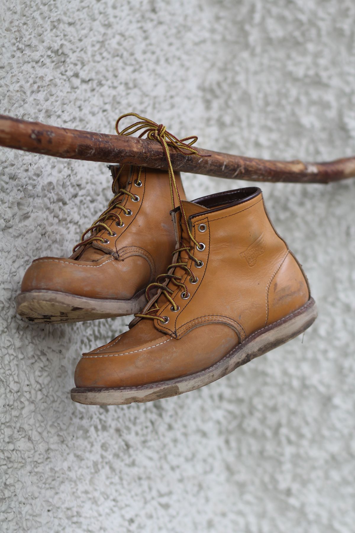 Photo by patinathunderdome on February 5, 2022 of the Red Wing 6-Inch Classic Moc in S.B. Foot Maize Mustang.