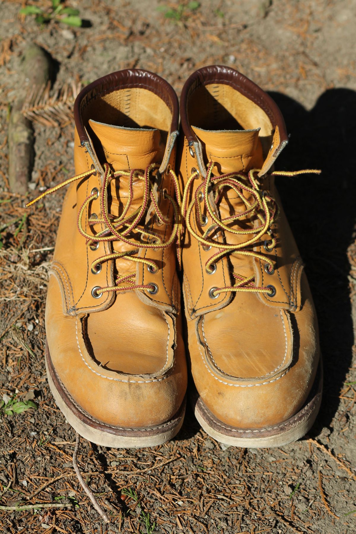 Photo by patinathunderdome on March 5, 2022 of the Red Wing 6-Inch Classic Moc in S.B. Foot Maize Mustang.