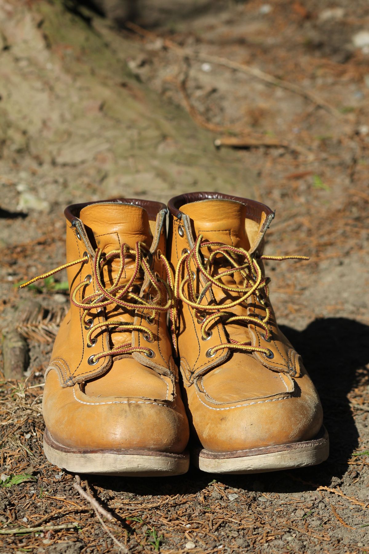 Photo by patinathunderdome on March 5, 2022 of the Red Wing 6-Inch Classic Moc in S.B. Foot Maize Mustang.