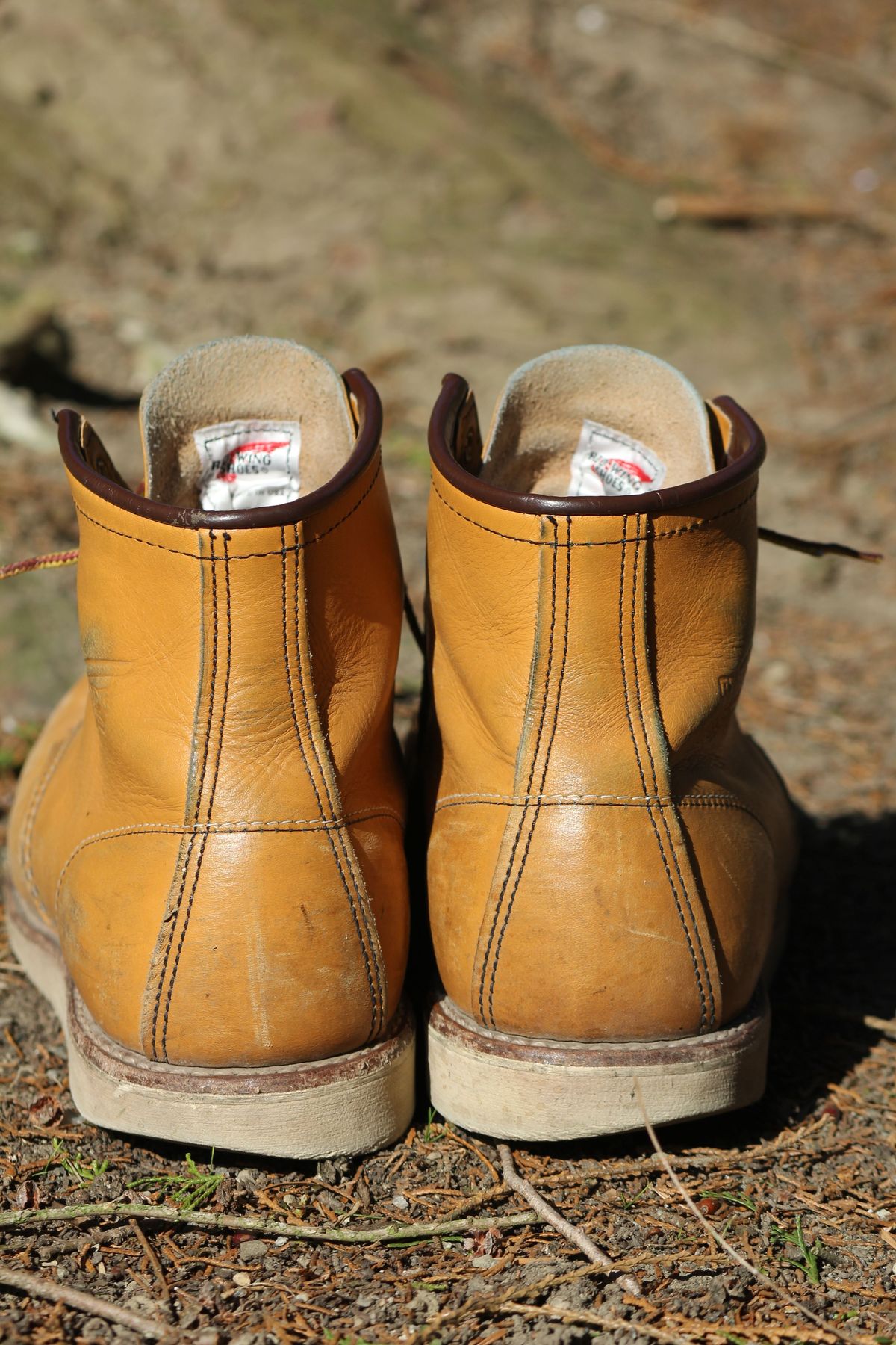 Photo by patinathunderdome on March 5, 2022 of the Red Wing 6-Inch Classic Moc in S.B. Foot Maize Mustang.