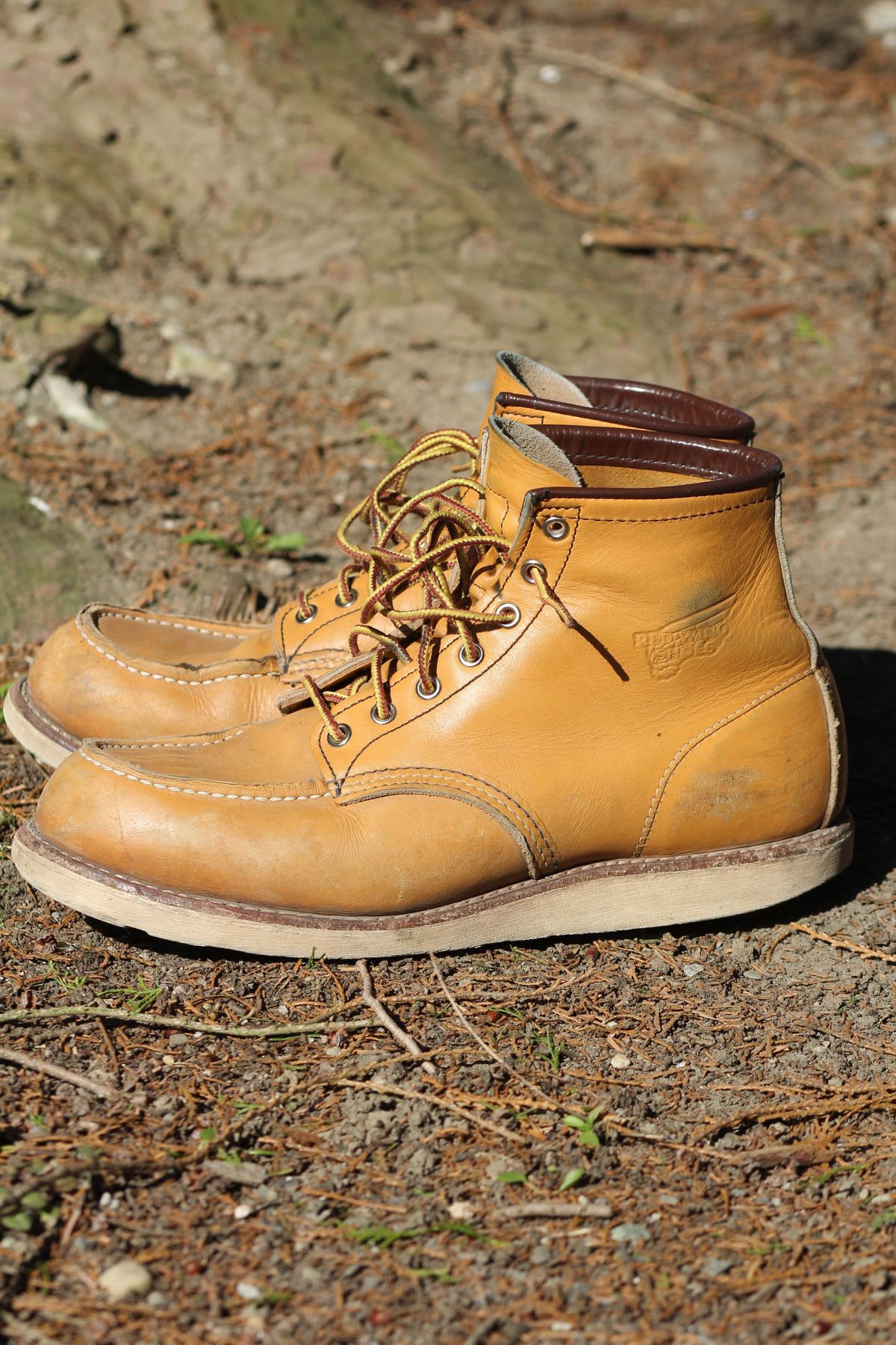 Photo by patinathunderdome on March 5, 2022 of the Red Wing 6-Inch Classic Moc in S.B. Foot Maize Mustang.