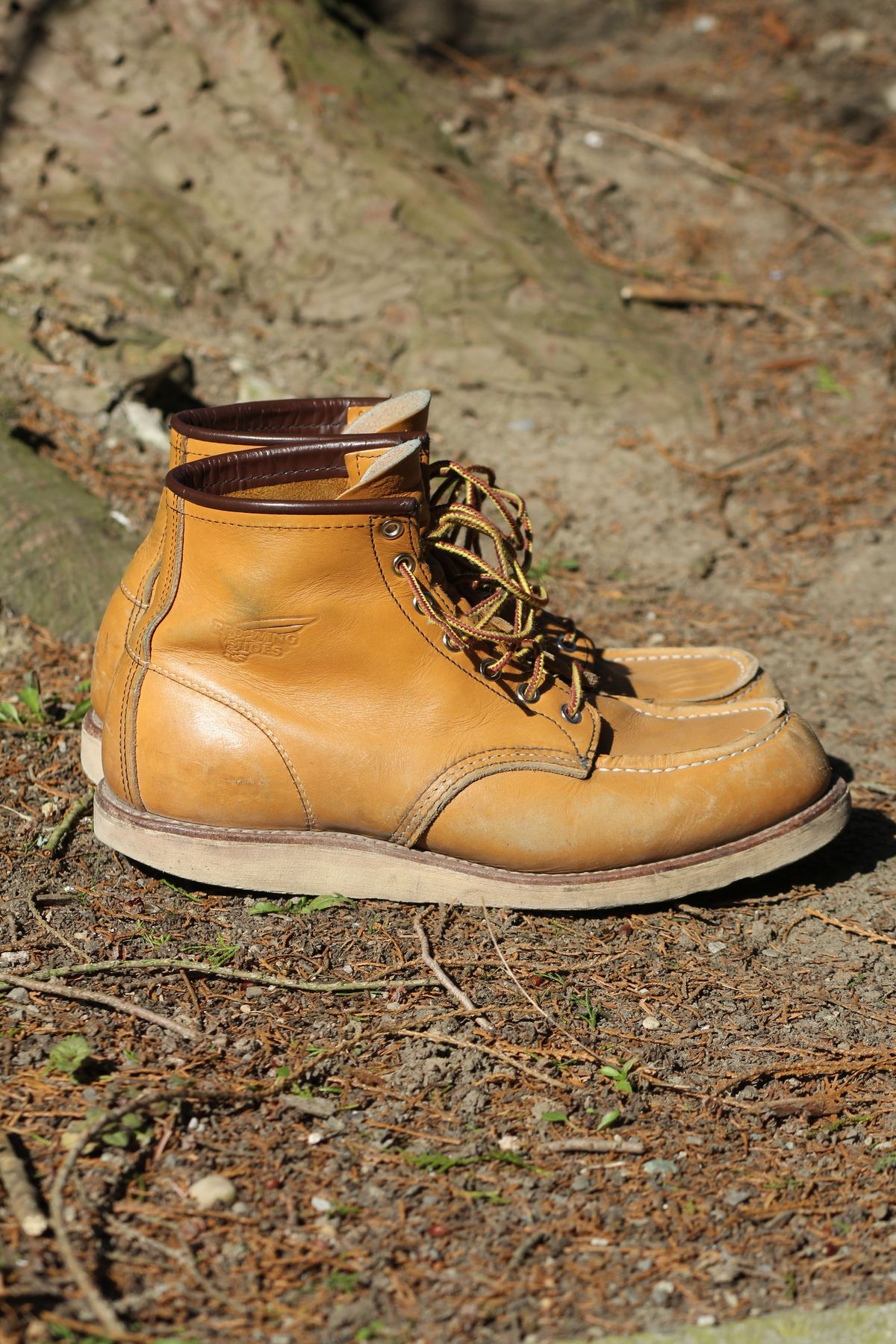 Photo by patinathunderdome on March 5, 2022 of the Red Wing 6-Inch Classic Moc in S.B. Foot Maize Mustang.