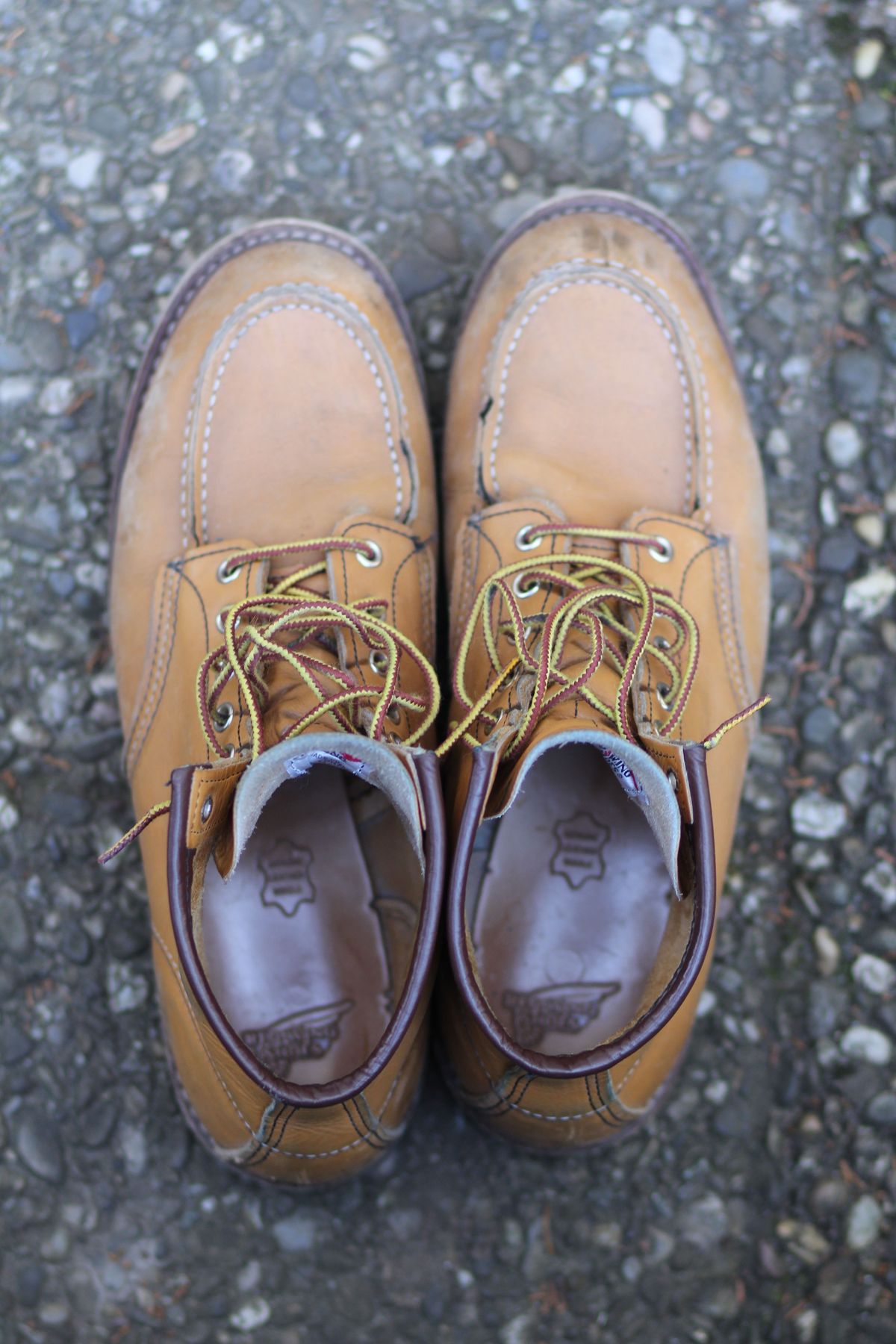 Photo by patinathunderdome on March 5, 2022 of the Red Wing 6-Inch Classic Moc in S.B. Foot Maize Mustang.