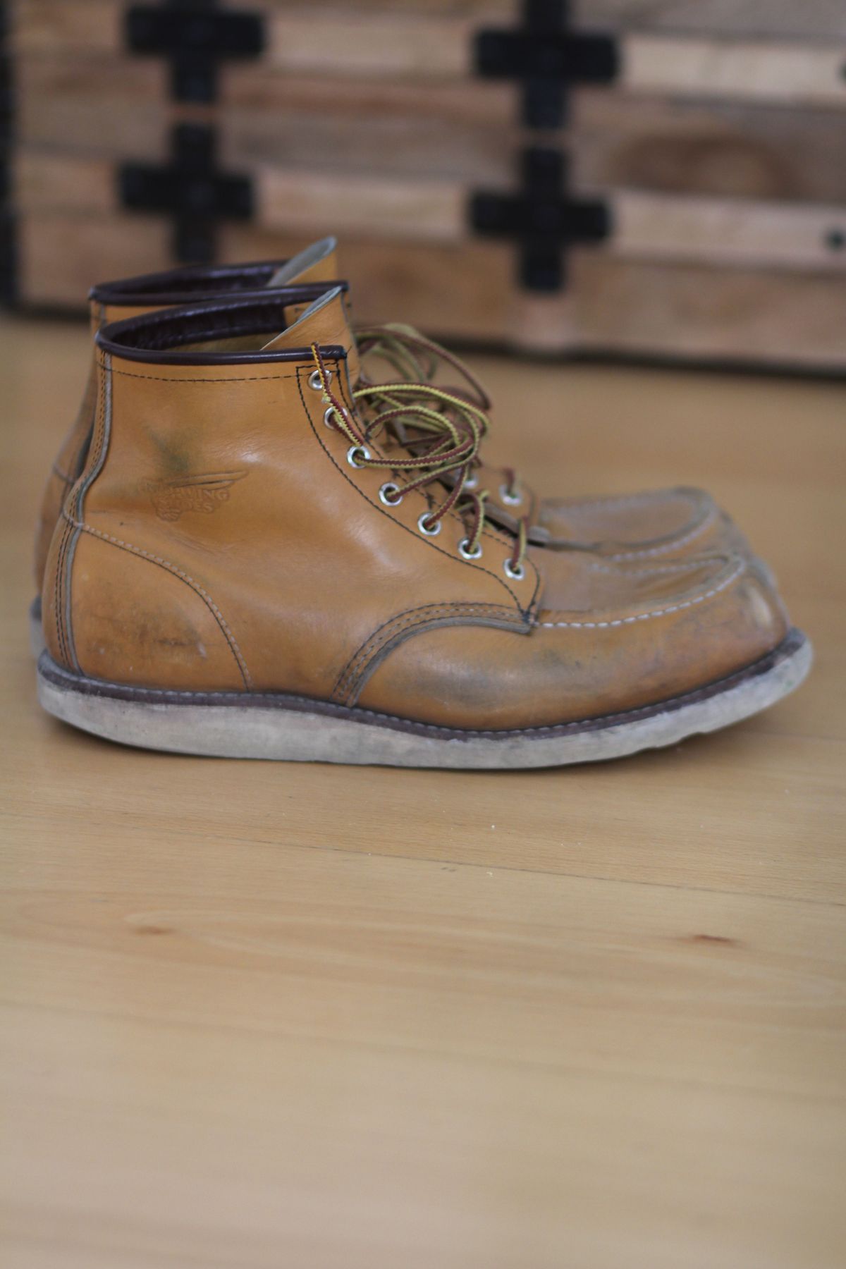 Photo by patinathunderdome on April 1, 2022 of the Red Wing 6-Inch Classic Moc in S.B. Foot Maize Mustang.