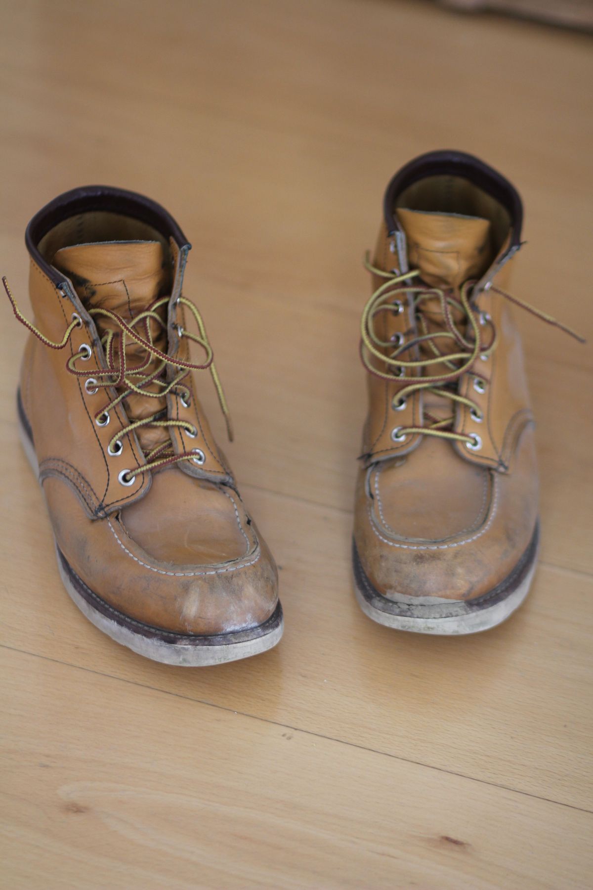 Photo by patinathunderdome on April 1, 2022 of the Red Wing 6-Inch Classic Moc in S.B. Foot Maize Mustang.