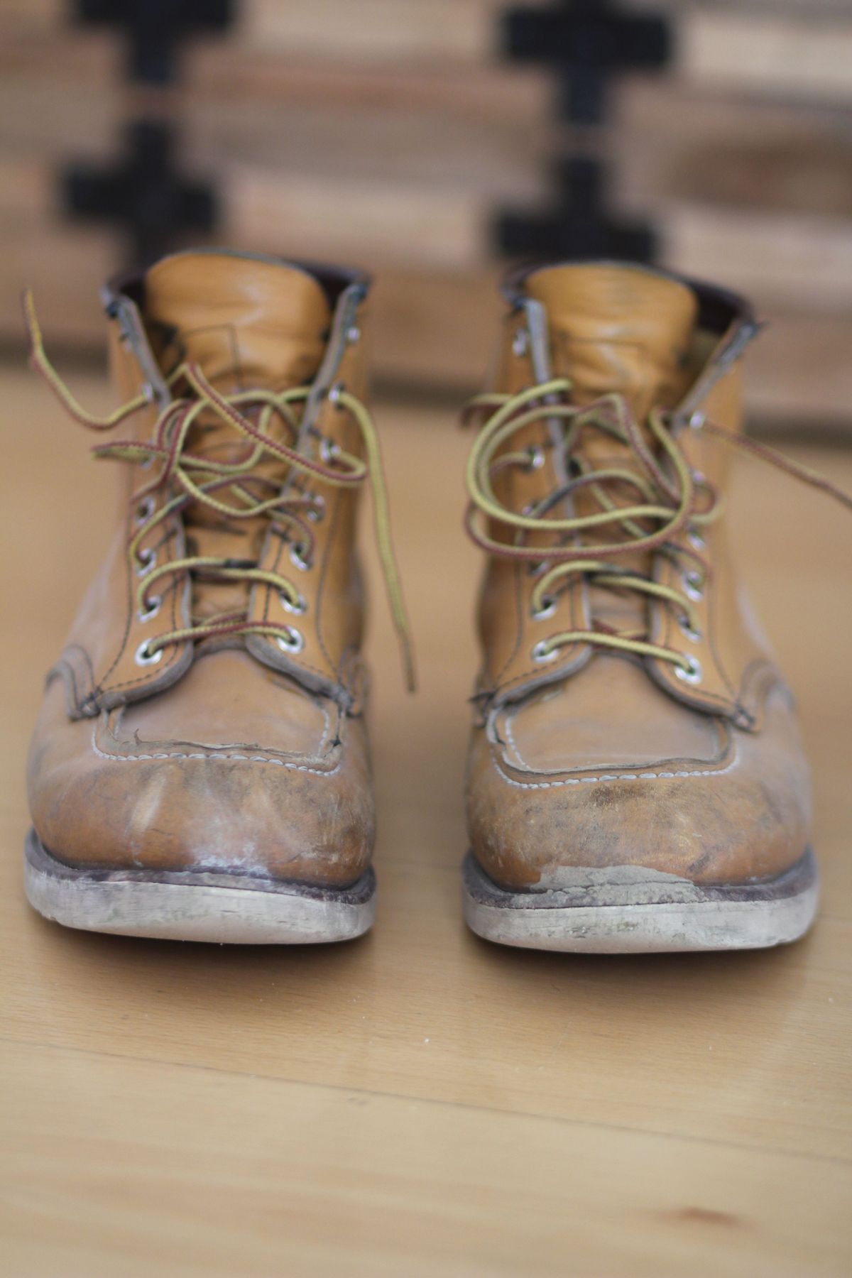 Photo by patinathunderdome on April 1, 2022 of the Red Wing 6-Inch Classic Moc in S.B. Foot Maize Mustang.