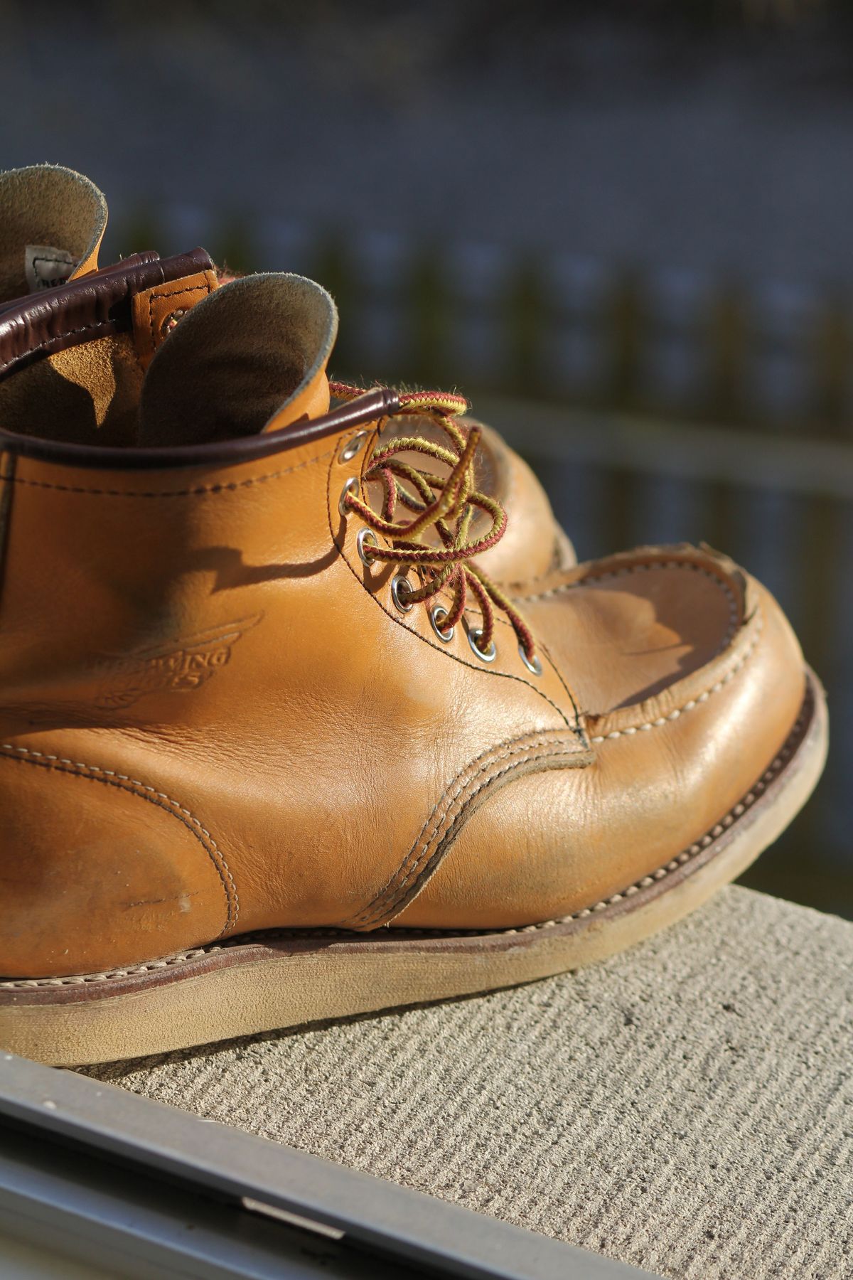 Photo by patinathunderdome on April 1, 2022 of the Red Wing 6-Inch Classic Moc in S.B. Foot Maize Mustang.