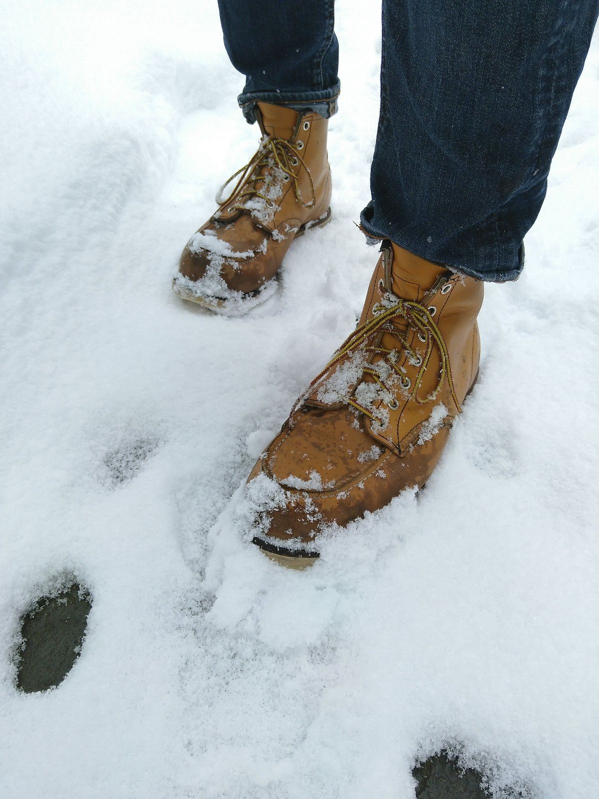 Photo by patinathunderdome on May 1, 2022 of the Red Wing 6-Inch Classic Moc in S.B. Foot Maize Mustang.