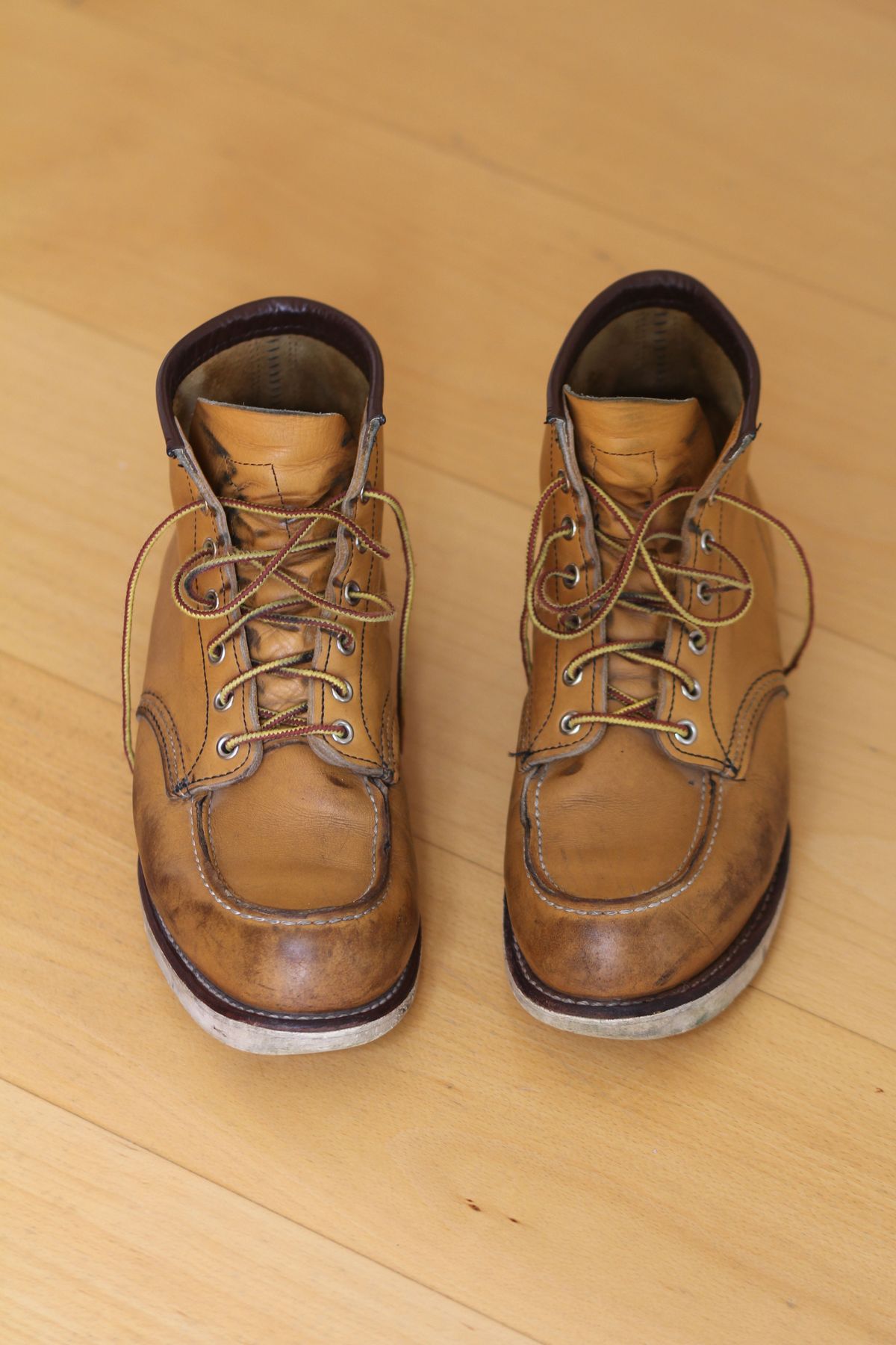 Photo by patinathunderdome on May 1, 2022 of the Red Wing 6-Inch Classic Moc in S.B. Foot Maize Mustang.