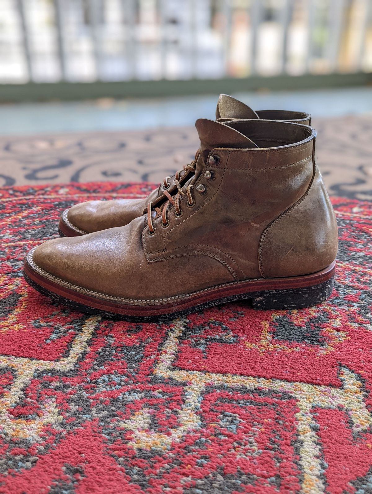 Photo by patinathunderdome on March 3, 2022 of the Tahura Captoelari in Maryam Olive Horsebutt.