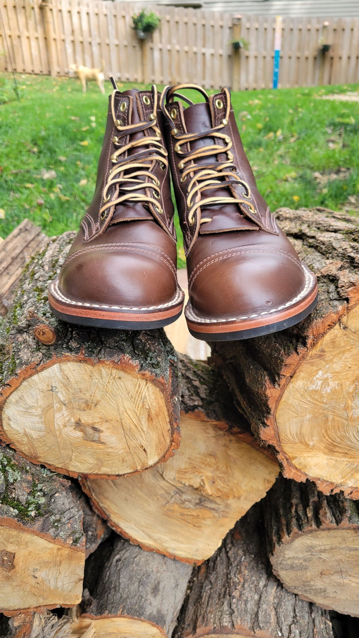 Photo by patinathunderdome on October 3, 2021 of the Nicks Americana in Horween Brown Waxed Flesh.