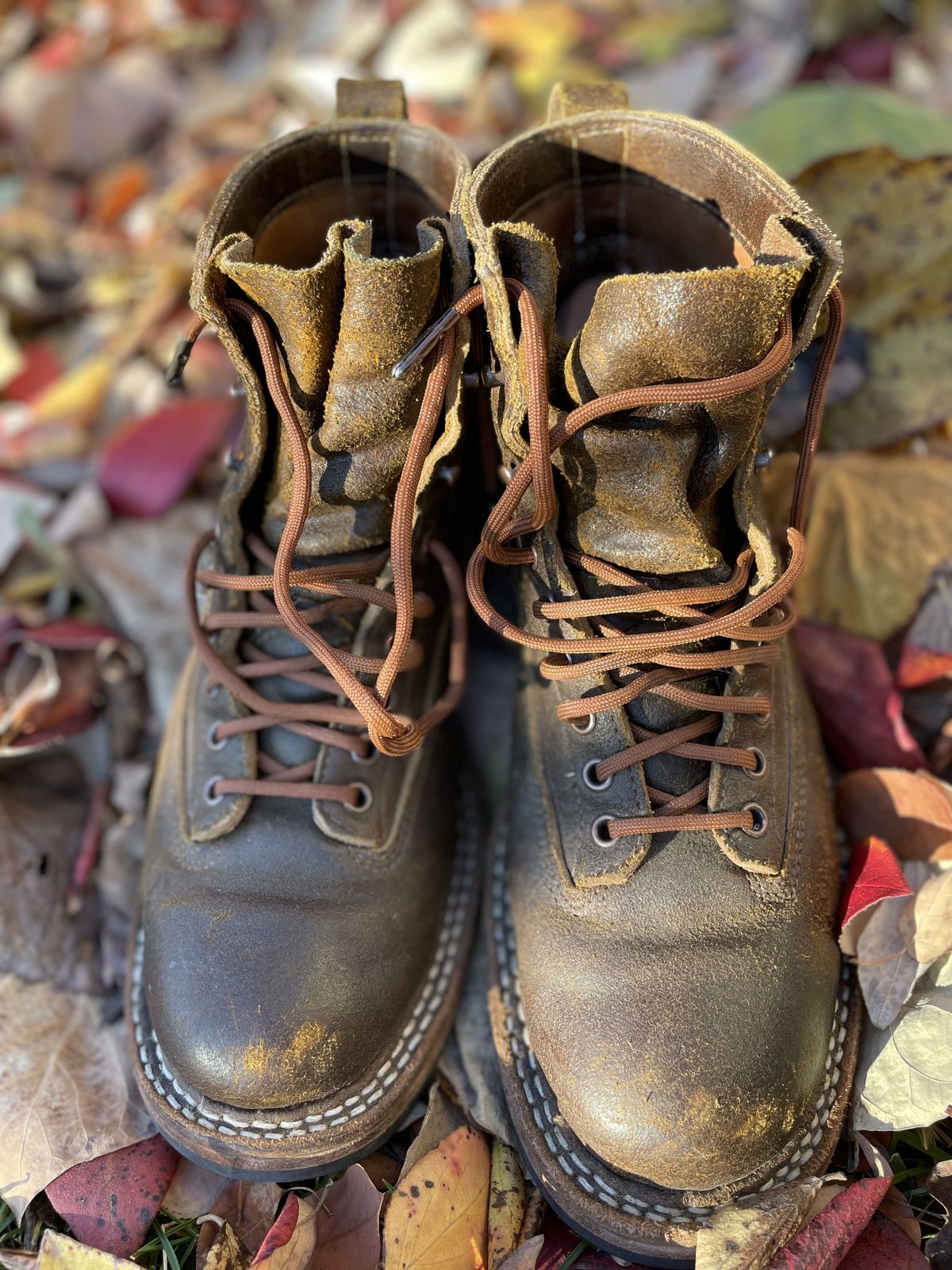 Photo by patinathunderdome on December 5, 2021 of the White's 350 Cutter in Horween Cinnamon Waxed Flesh.