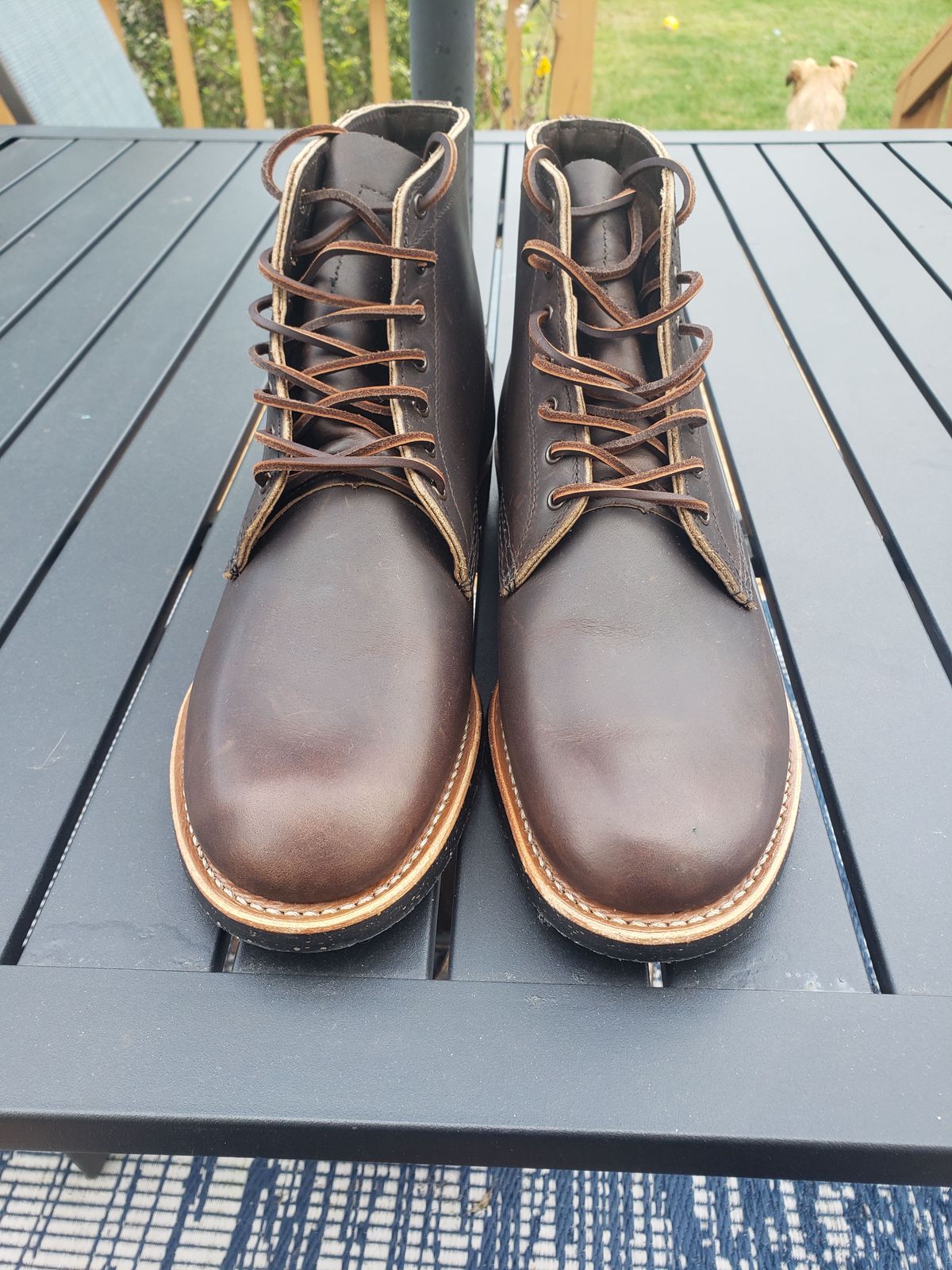 Photo by patinathunderdome on September 30, 2021 of the Red Wing Merchant in S.B. Foot Ebony Harness.