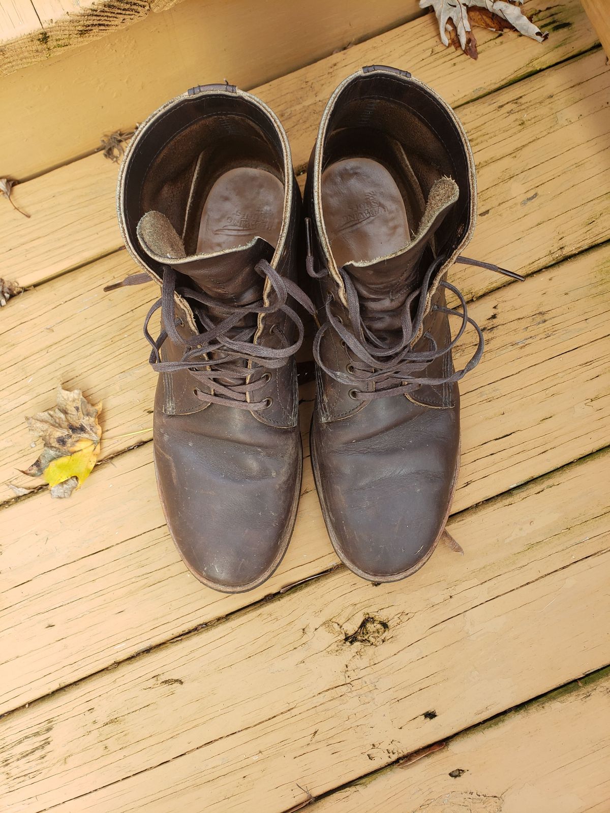 Photo by patinathunderdome on December 1, 2021 of the Red Wing Merchant in S.B. Foot Ebony Harness.