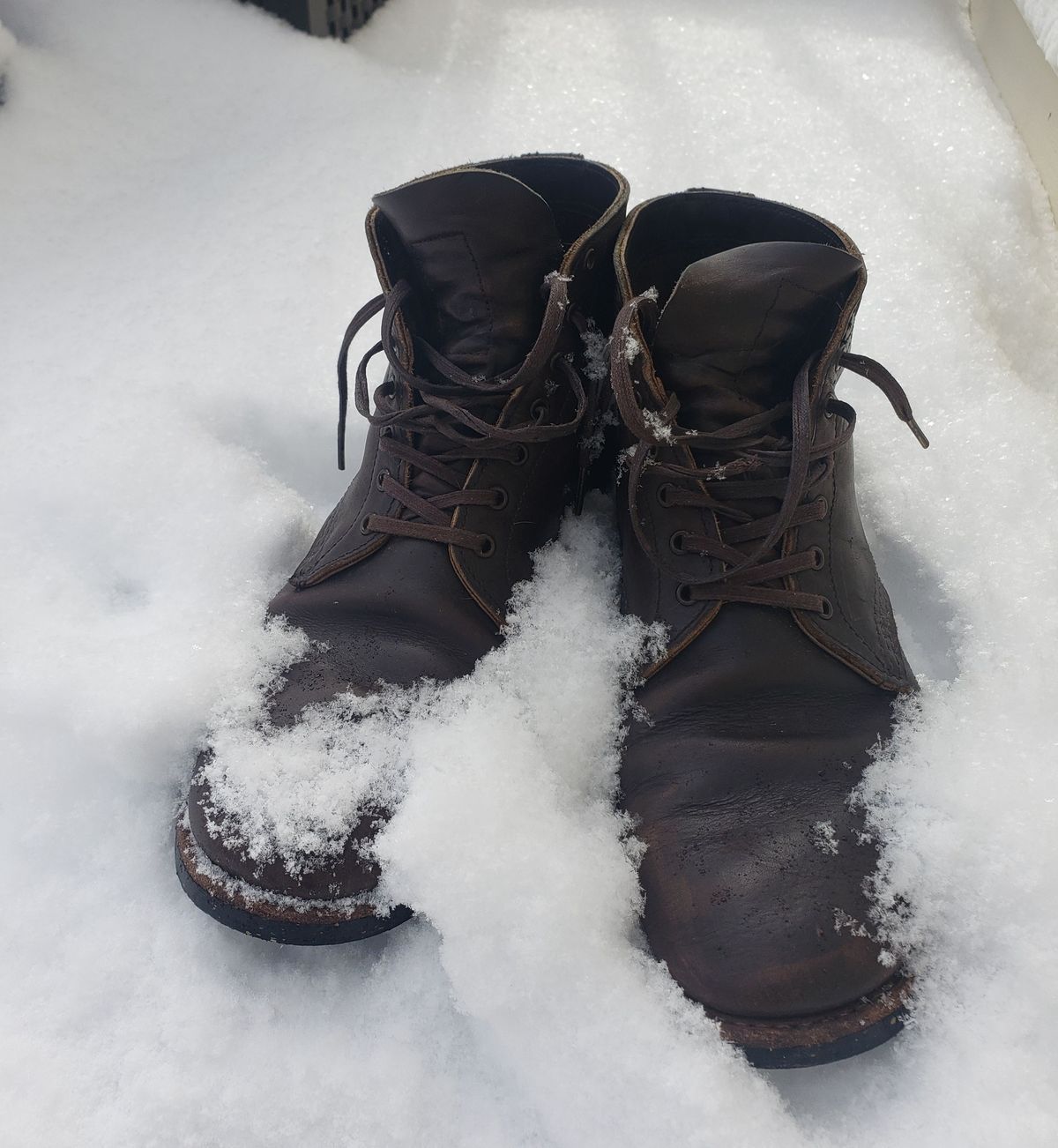 Photo by patinathunderdome on January 3, 2022 of the Red Wing Merchant in S.B. Foot Ebony Harness.