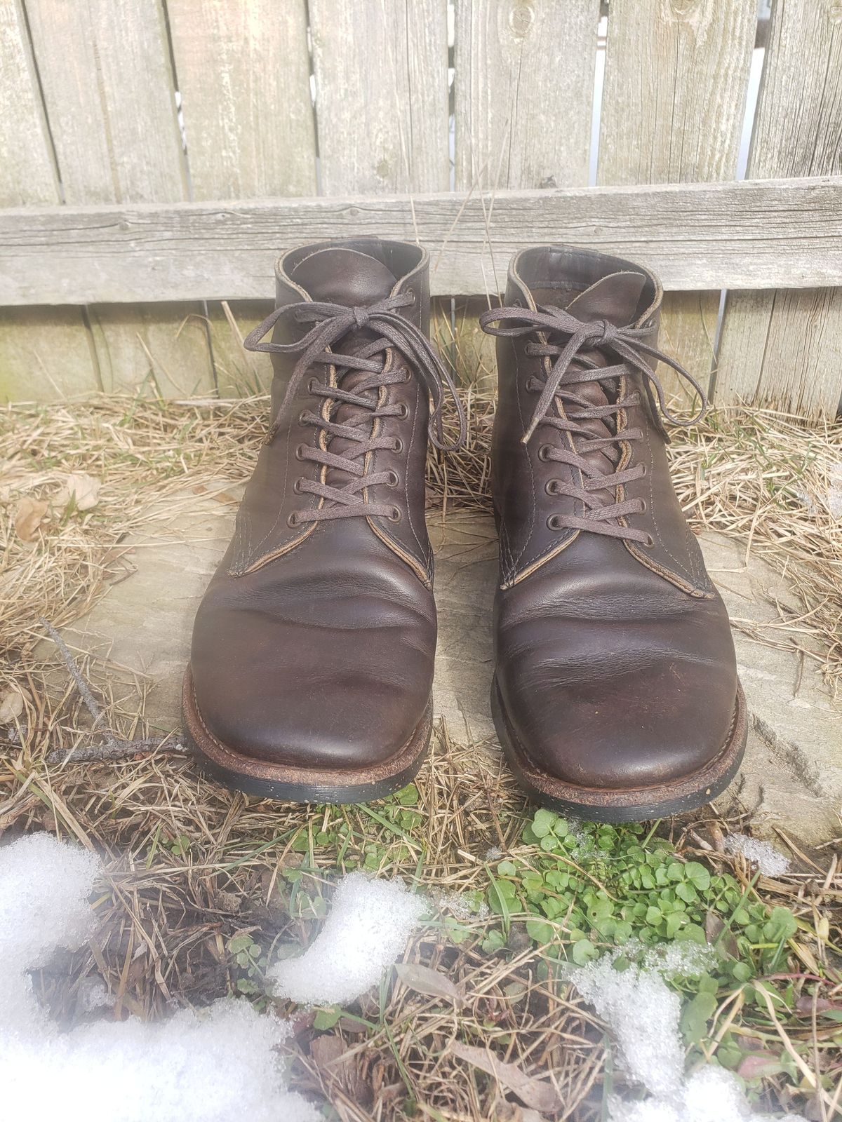 Photo by patinathunderdome on March 1, 2022 of the Red Wing Merchant in S.B. Foot Ebony Harness.